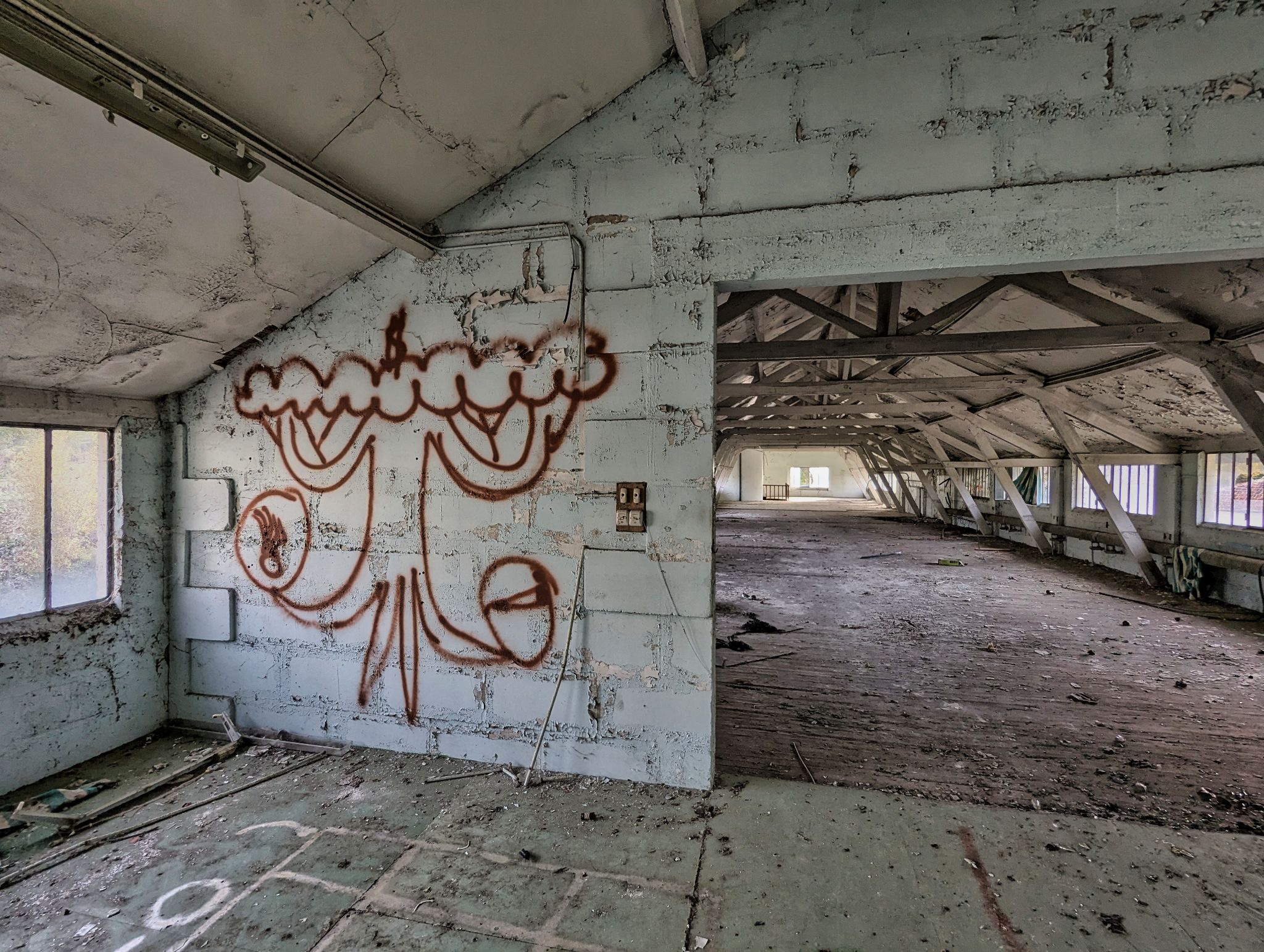 PXL 20241124 094610974