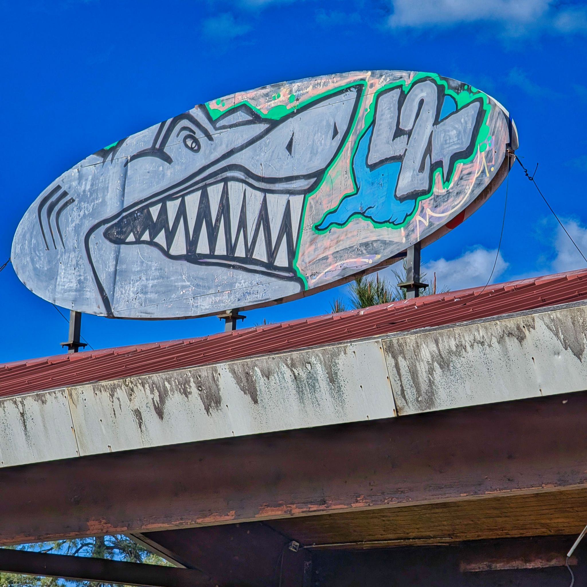 PXL 20250319 142700225