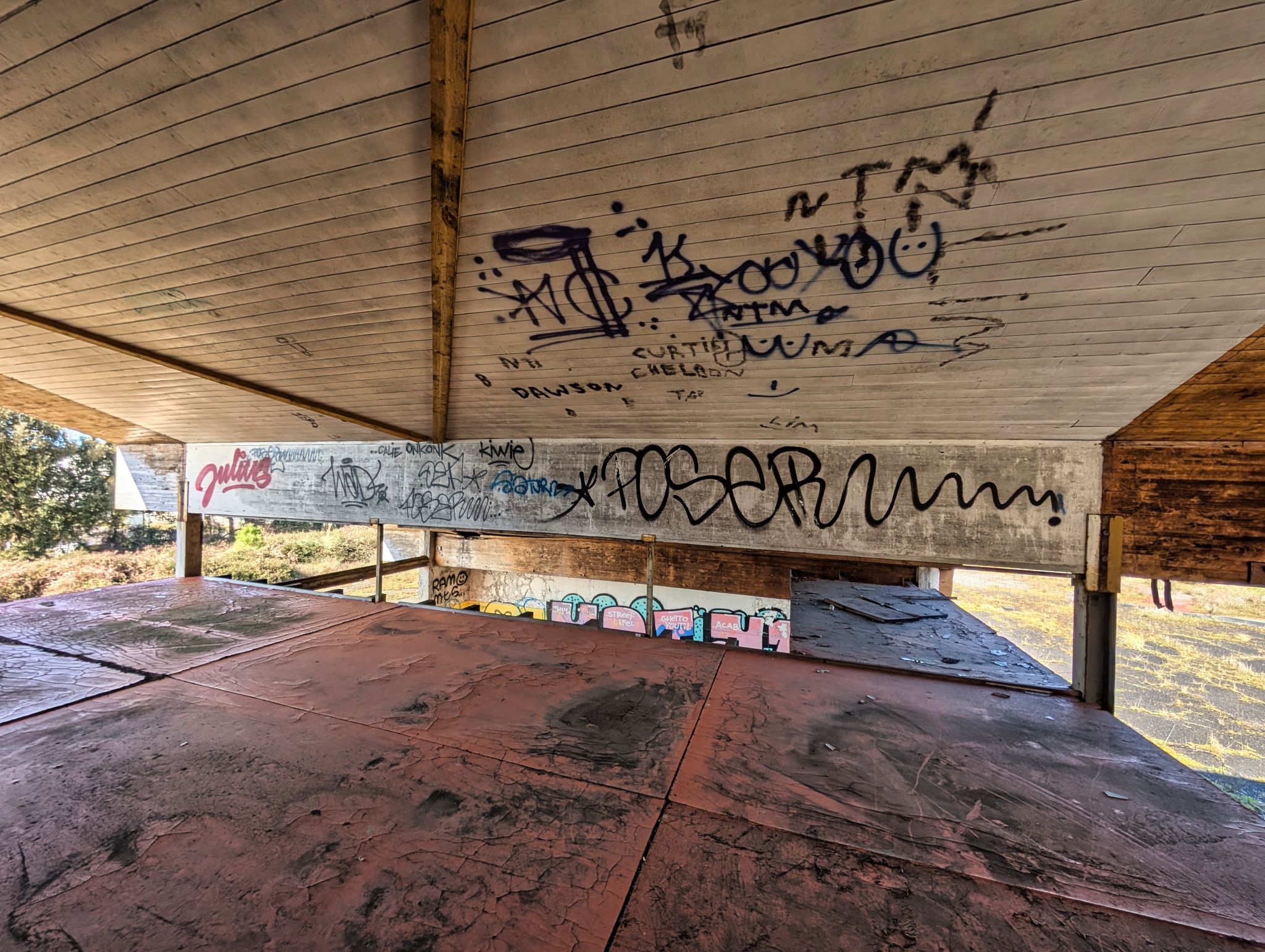 PXL 20250319 143823010