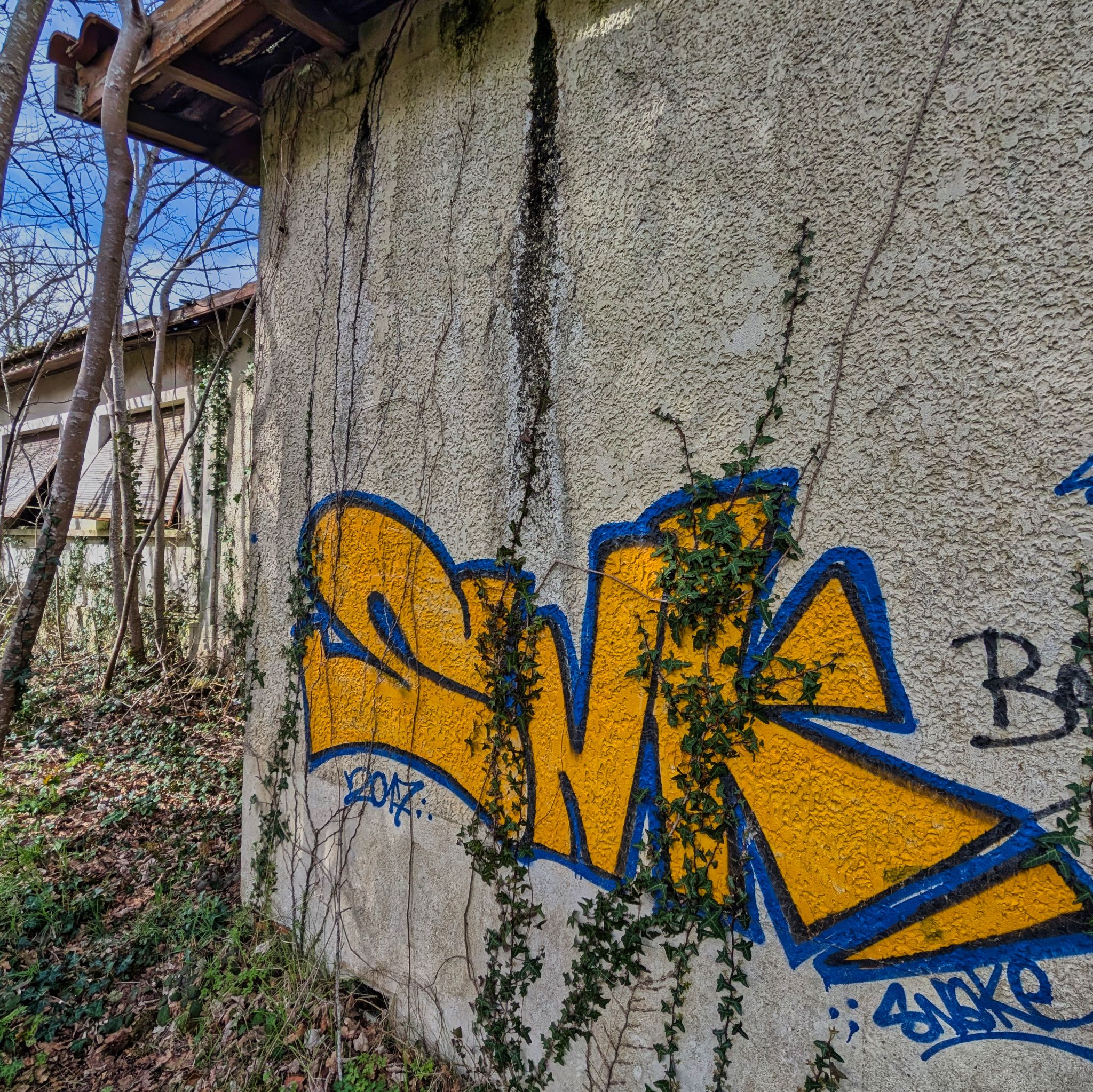 PXL 20250323 145110652