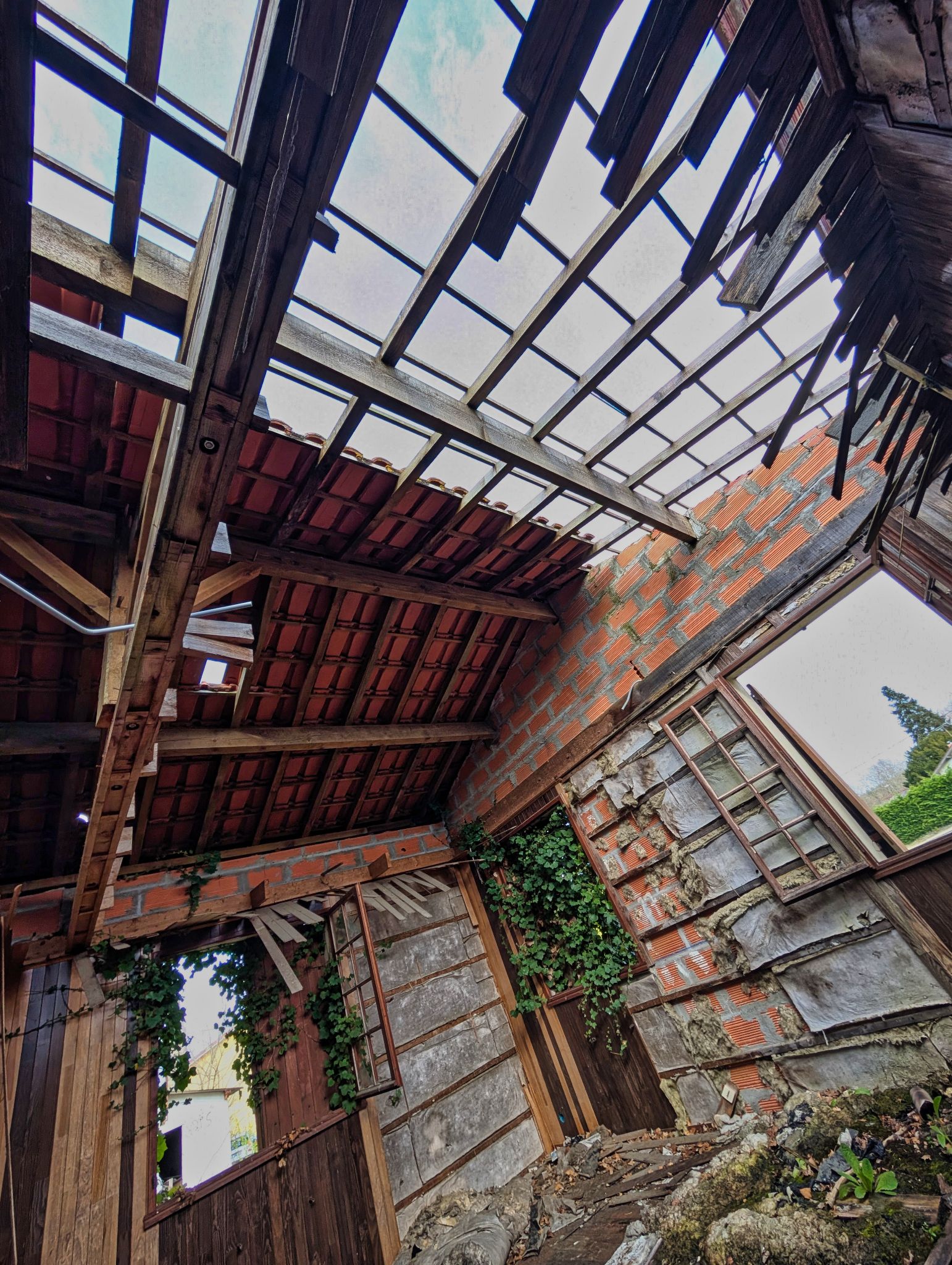 PXL 20250323 145434738