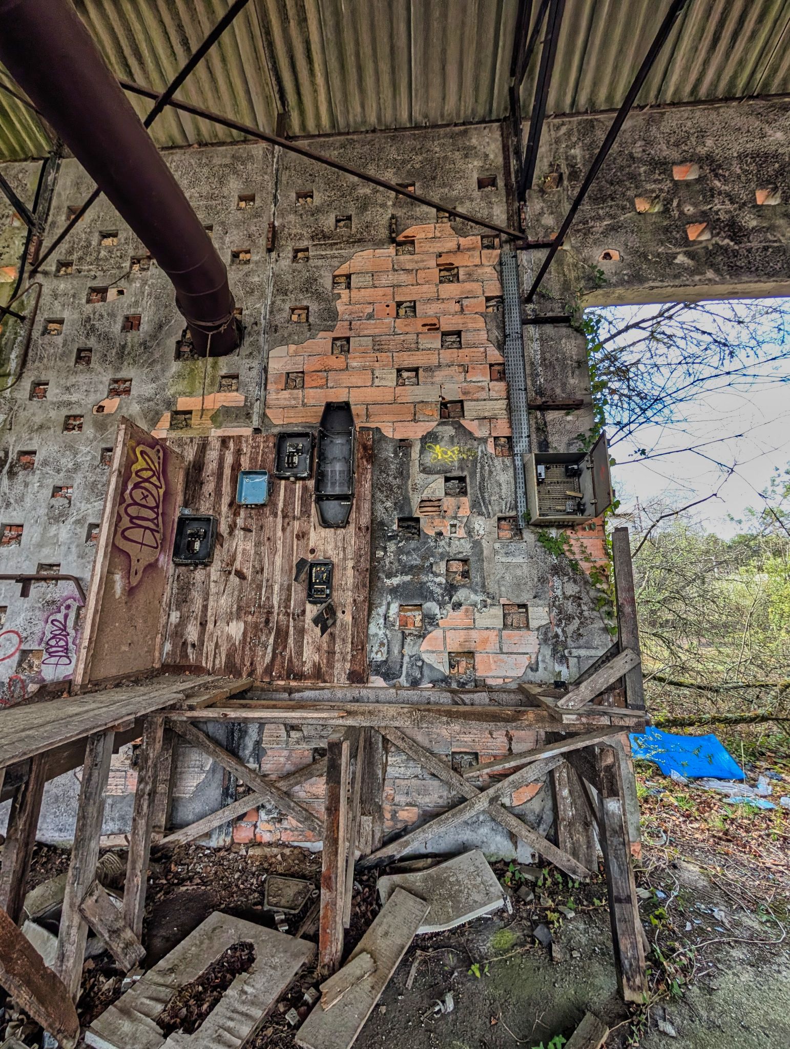 PXL 20250323 145826423