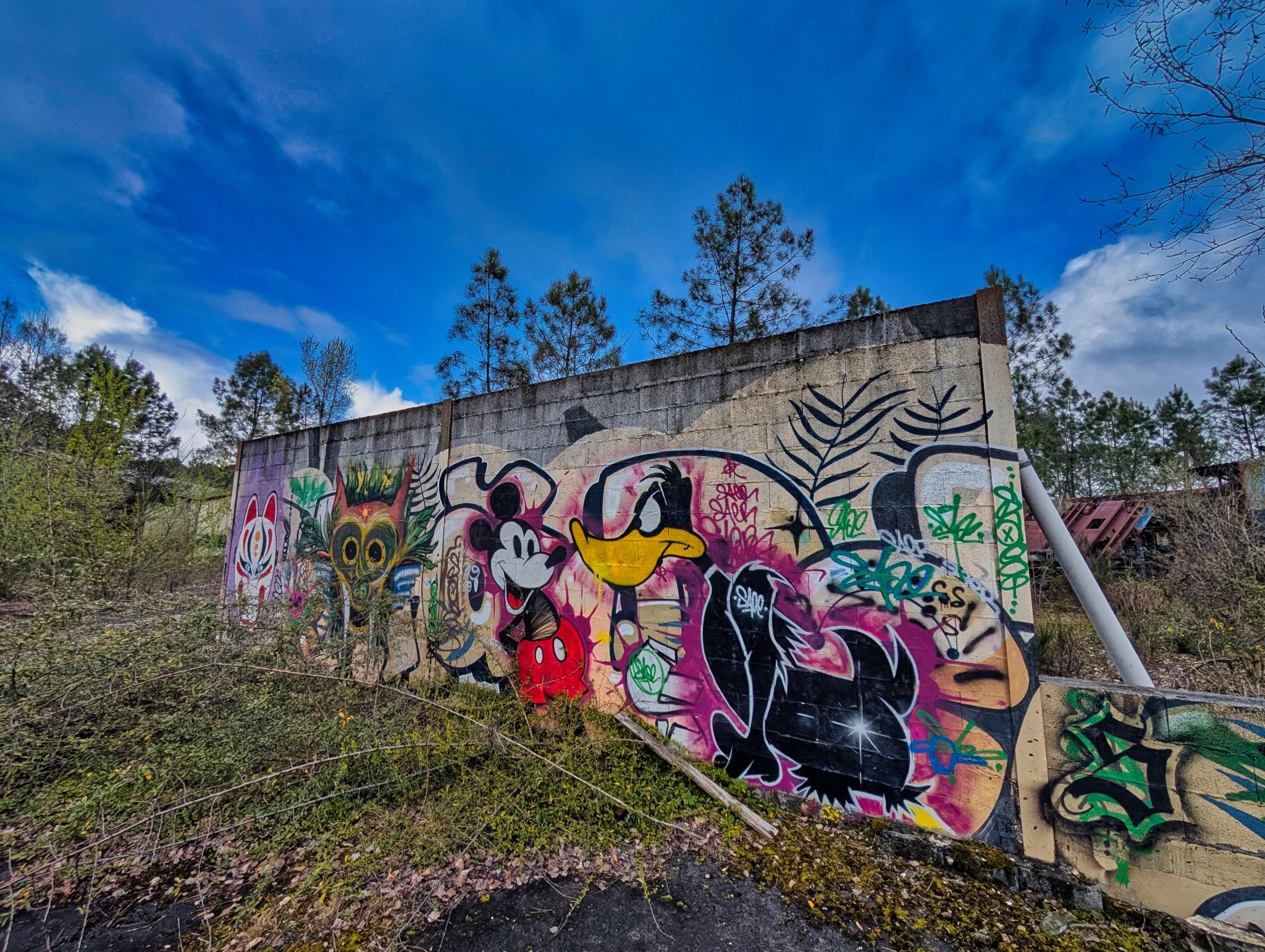 PXL 20250323 150943043