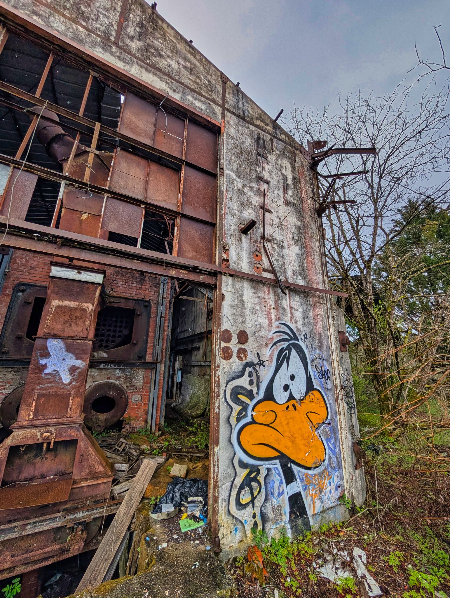 PXL 20250323 152747861