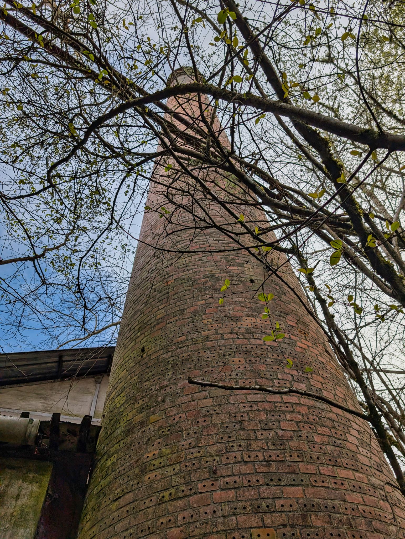 PXL 20250323 153220317