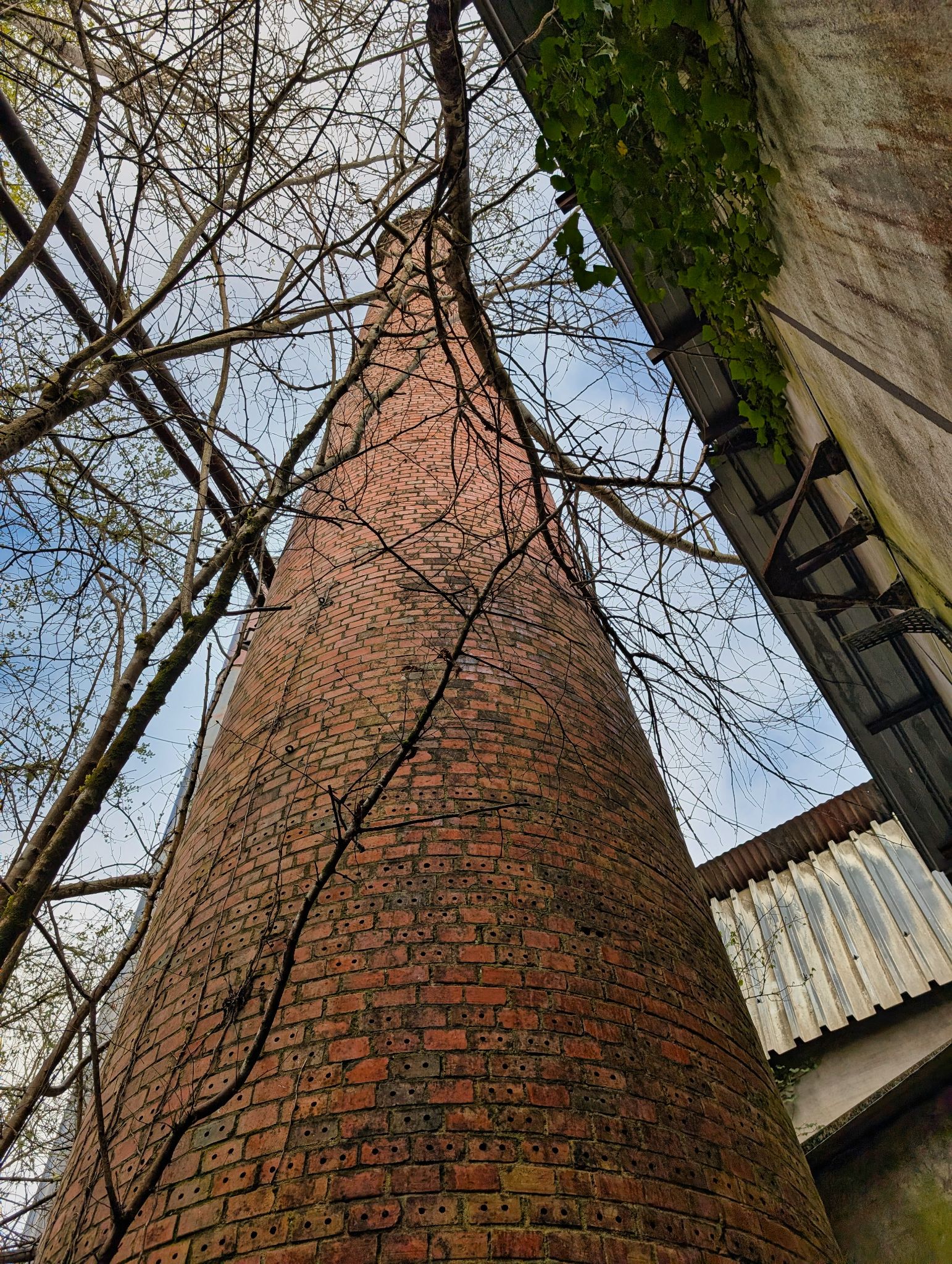 PXL 20250323 153320118