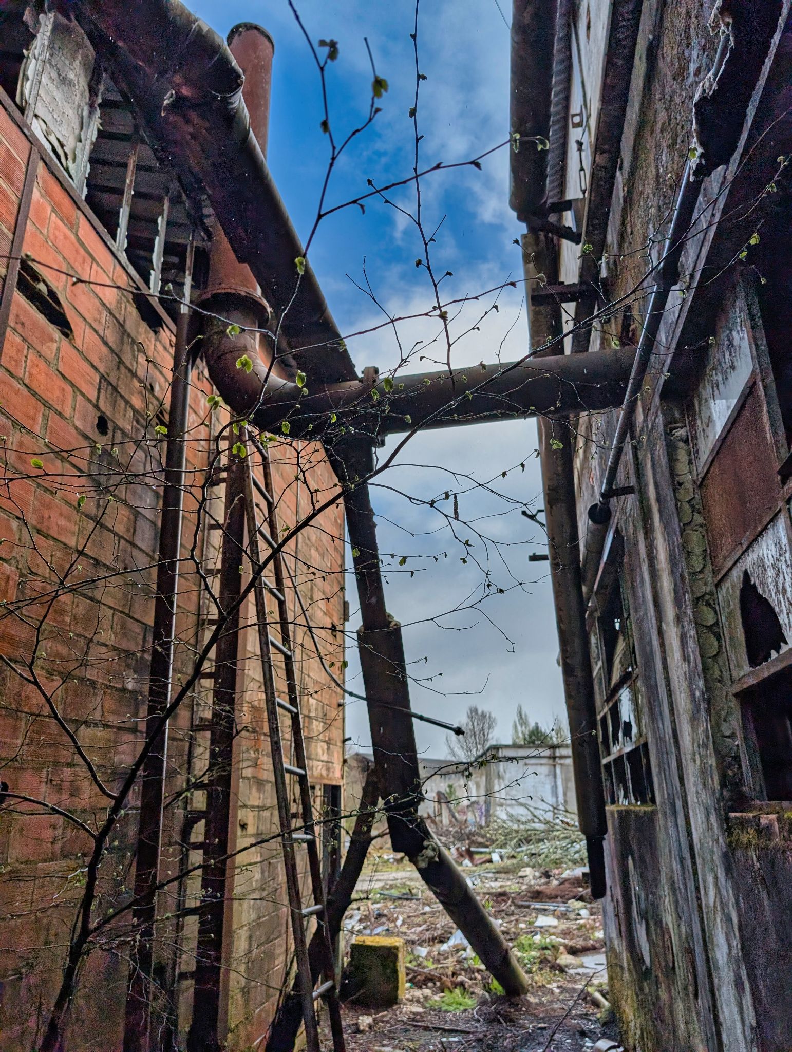 PXL 20250323 153343352.MP