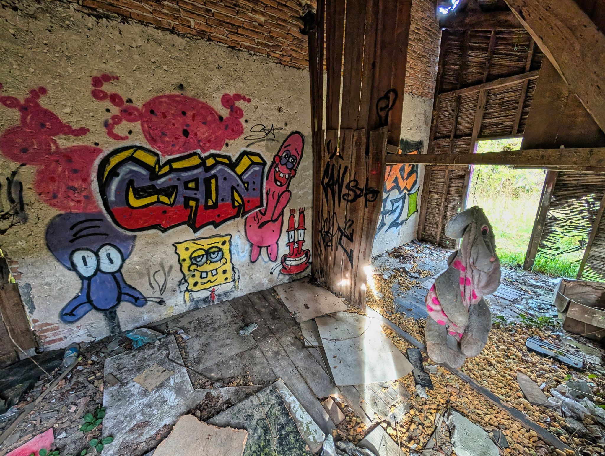 PXL 20250323 154346561