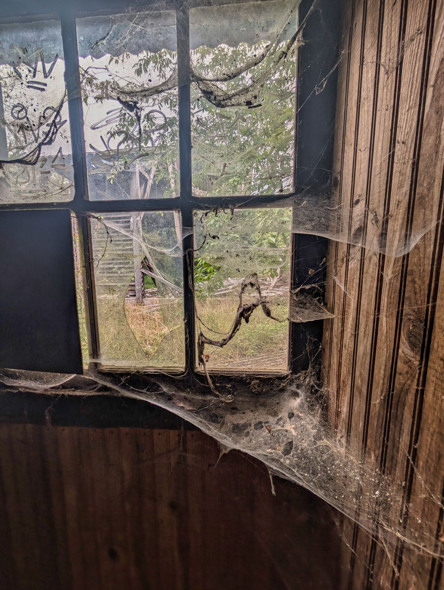 PXL 20250907 080030262