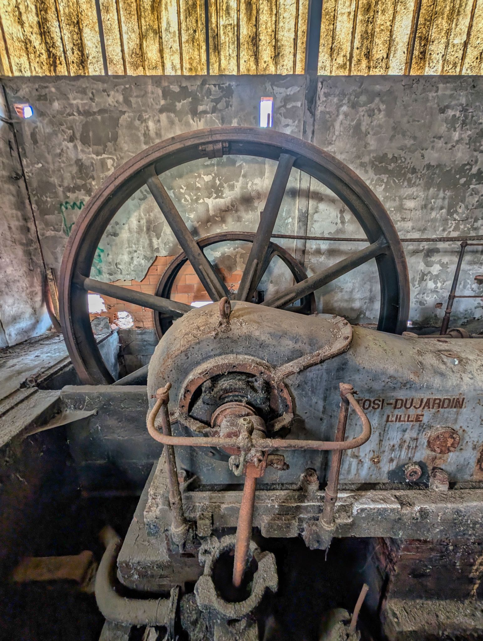 PXL 20250907 080931019