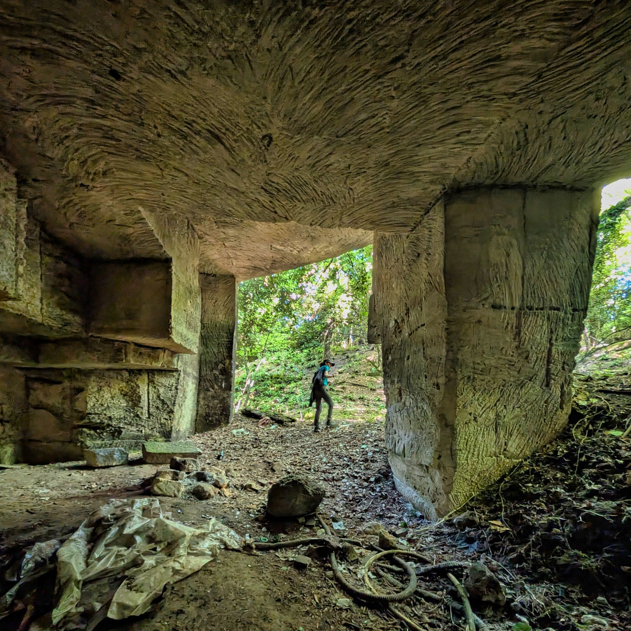 PXL 20250629 080303760