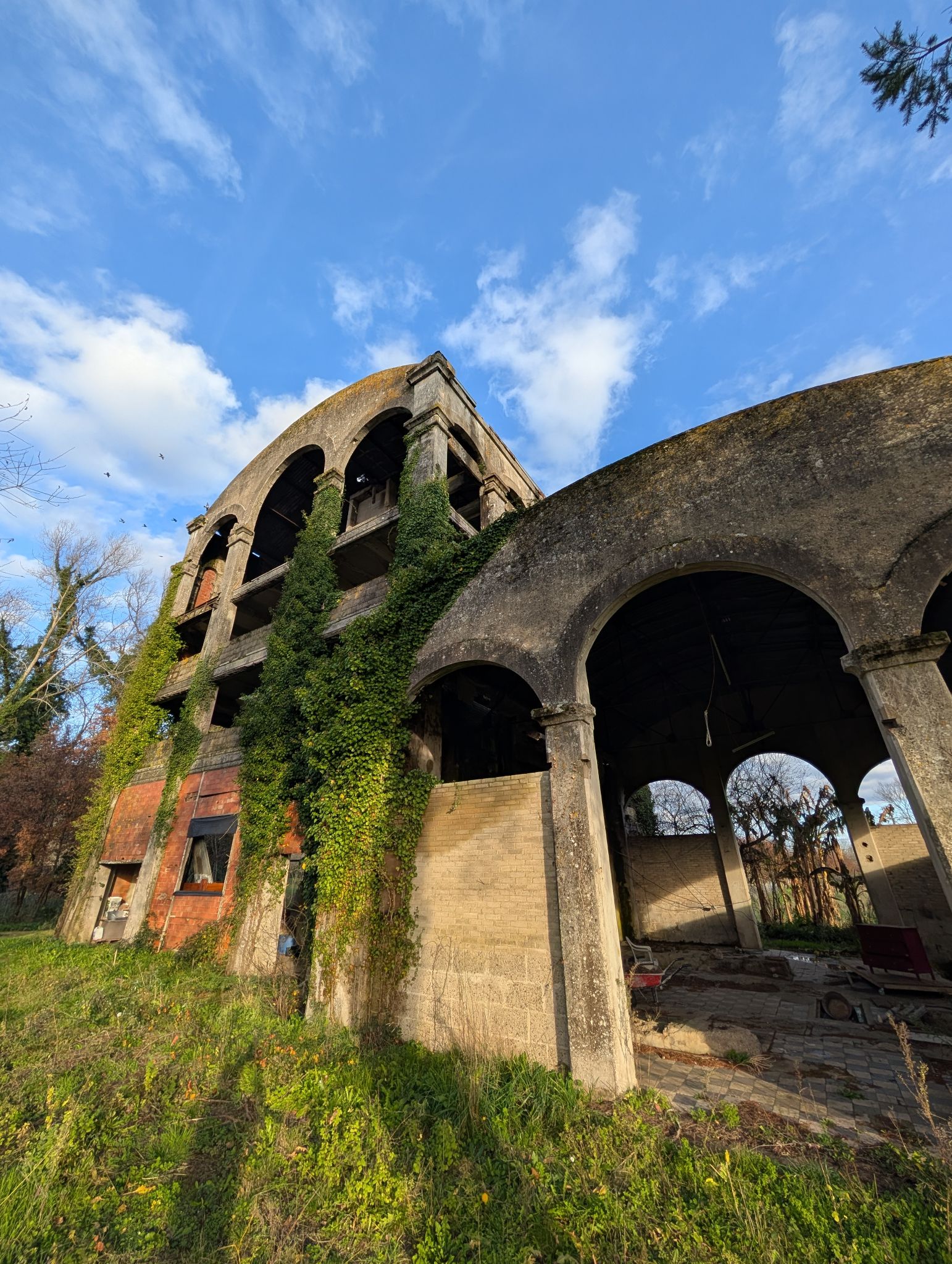 PXL 20251212 143251148