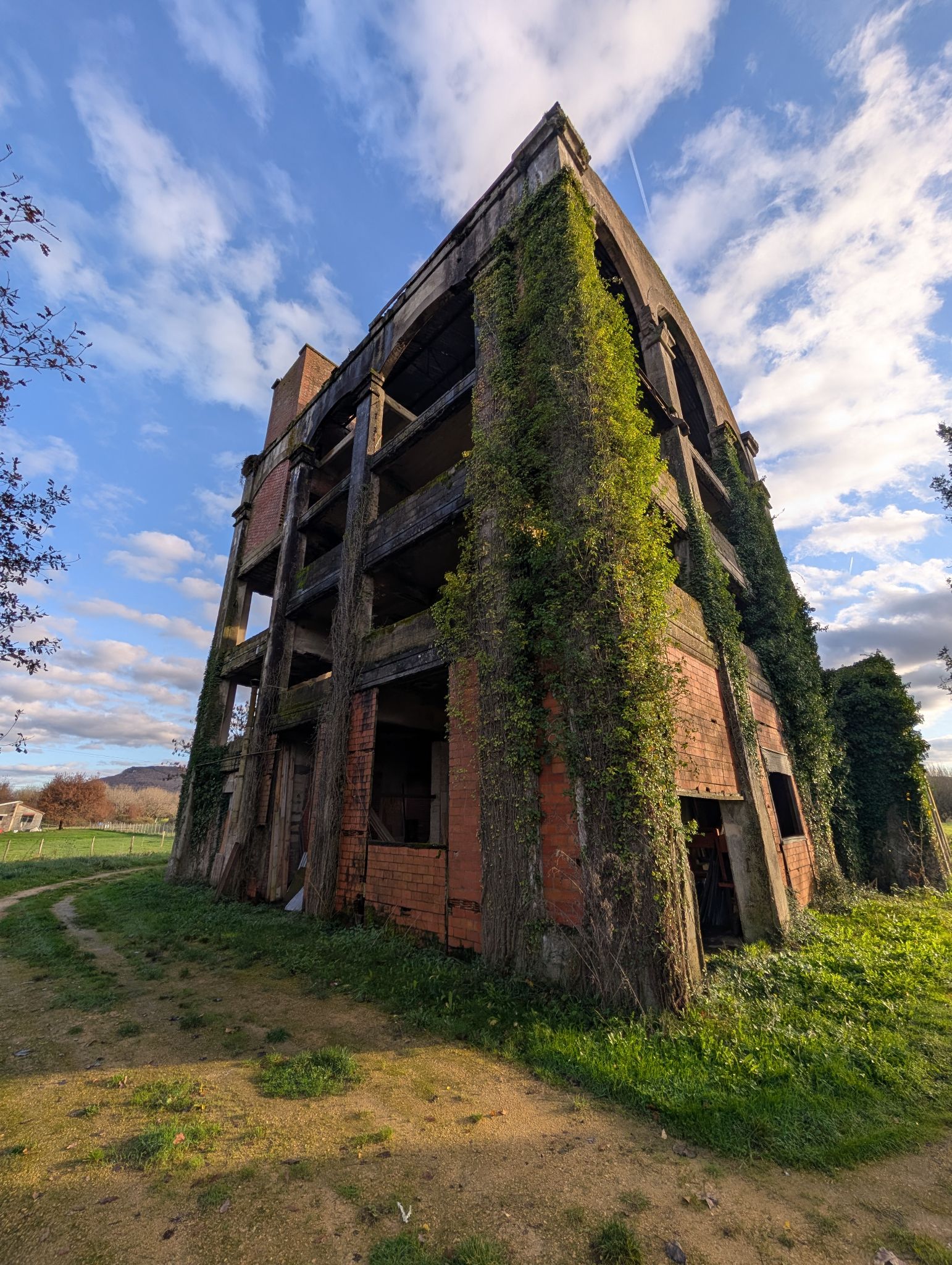 PXL 20251212 143631071