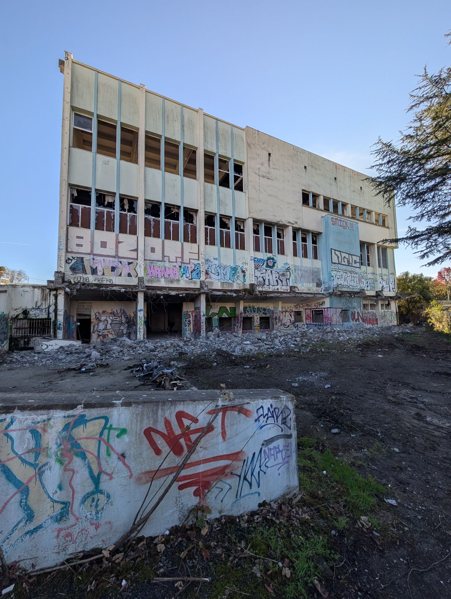 PXL 20251122 123811156