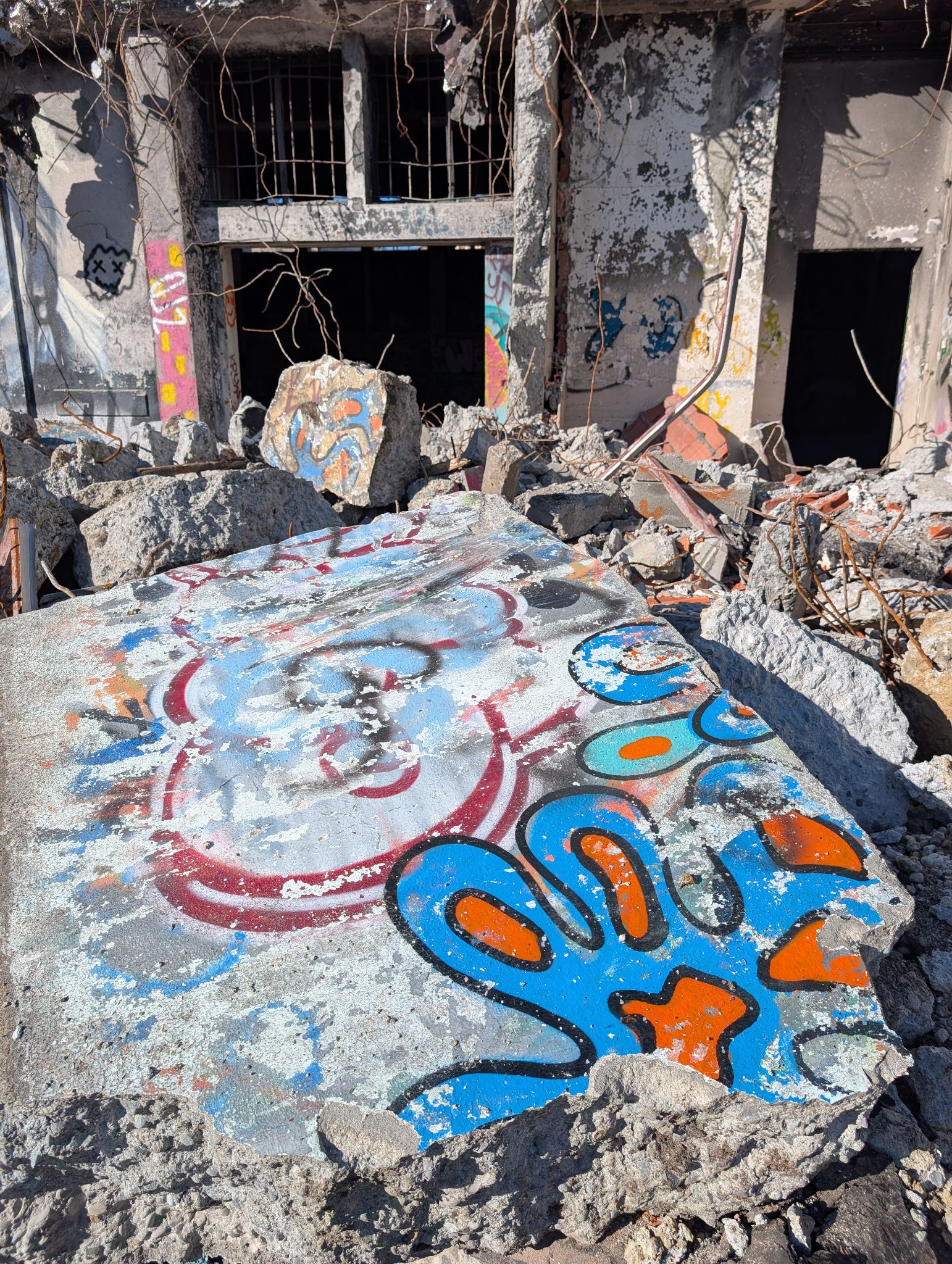 PXL 20251122 124111455