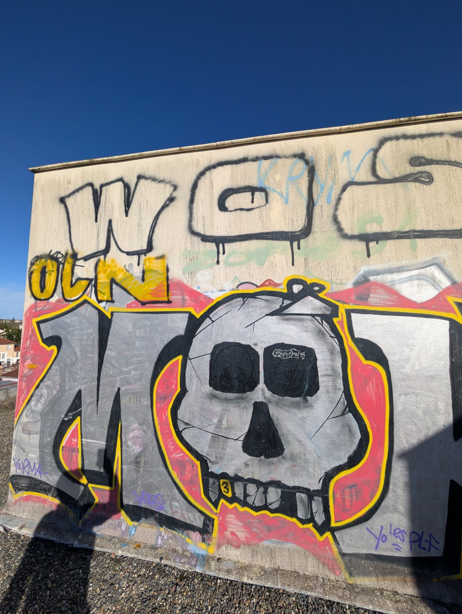 PXL 20251122 125306357