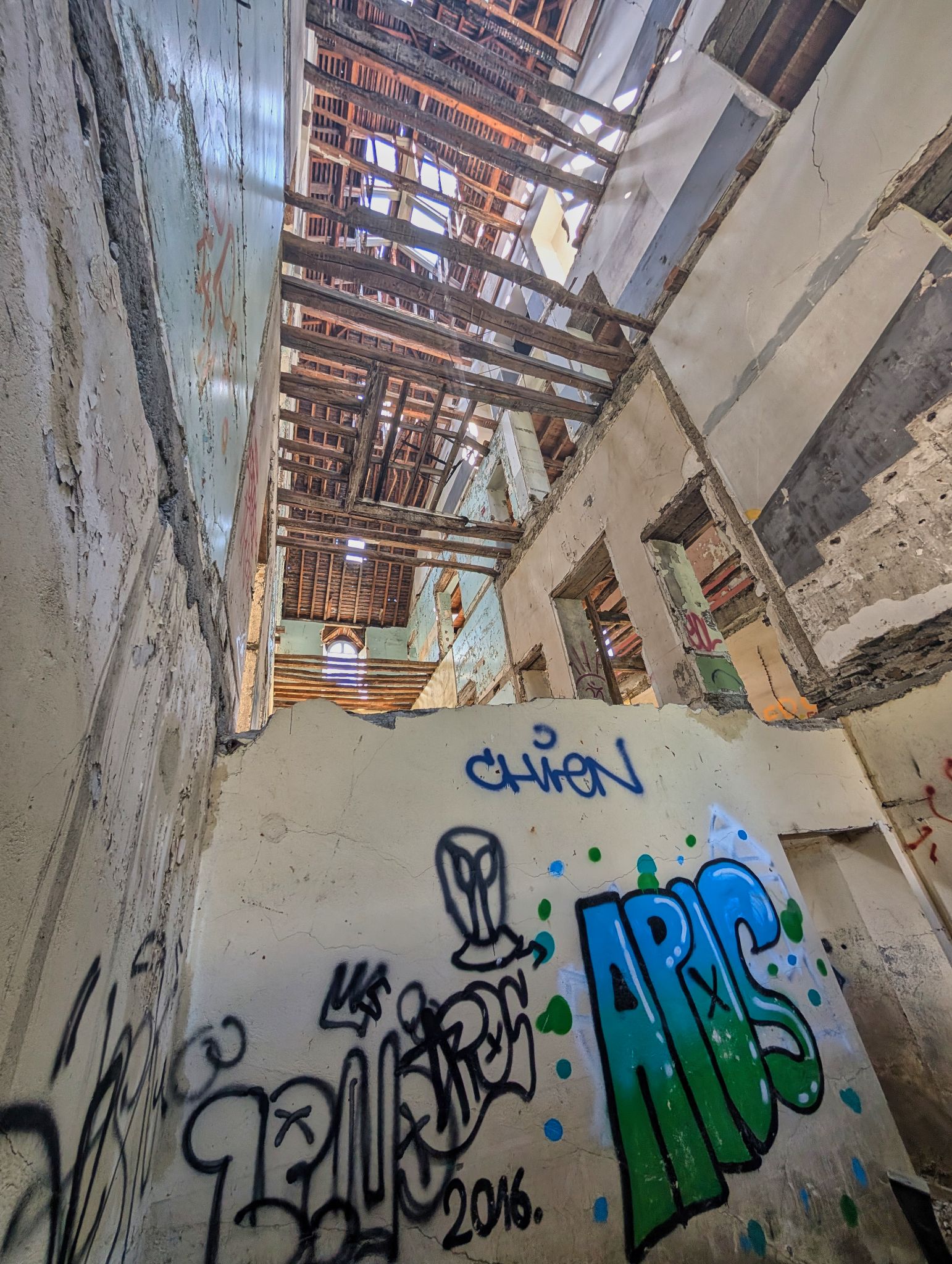 PXL 20250830 133024745