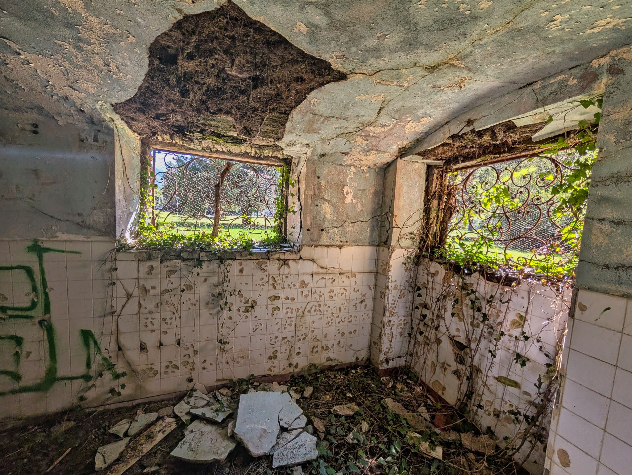 PXL 20250830 133124437