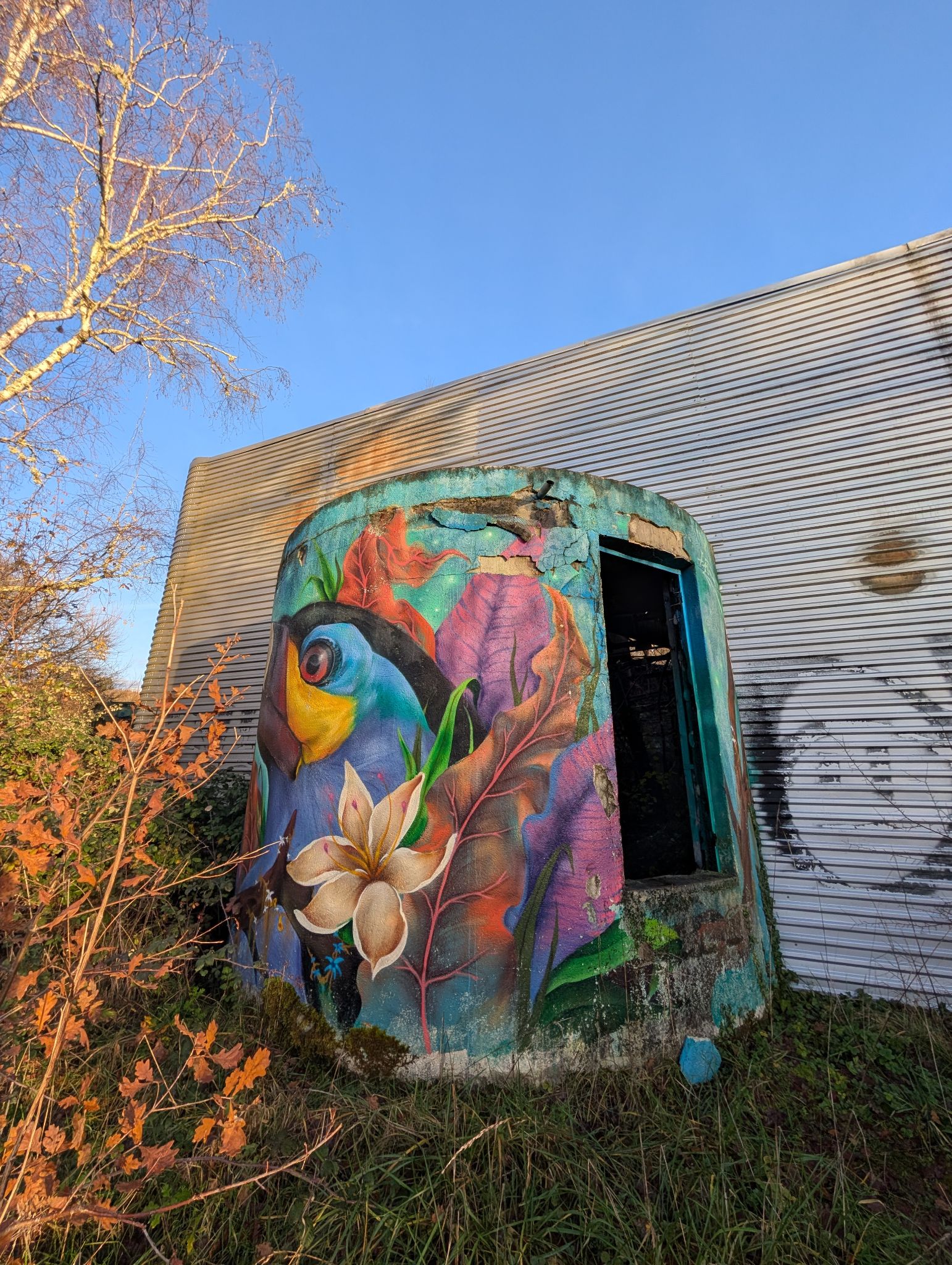 PXL 20251212 152314745