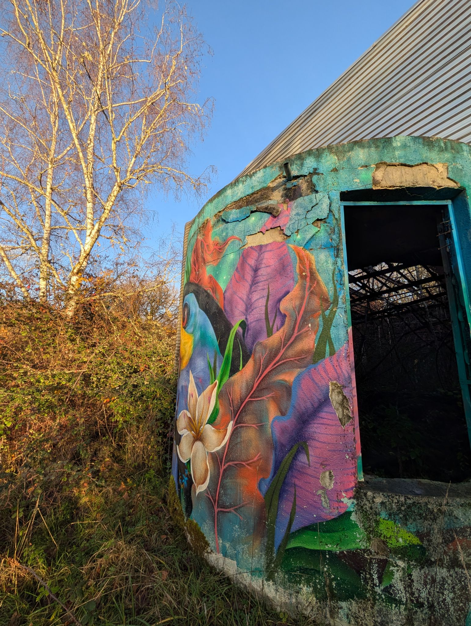 PXL 20251212 152348875