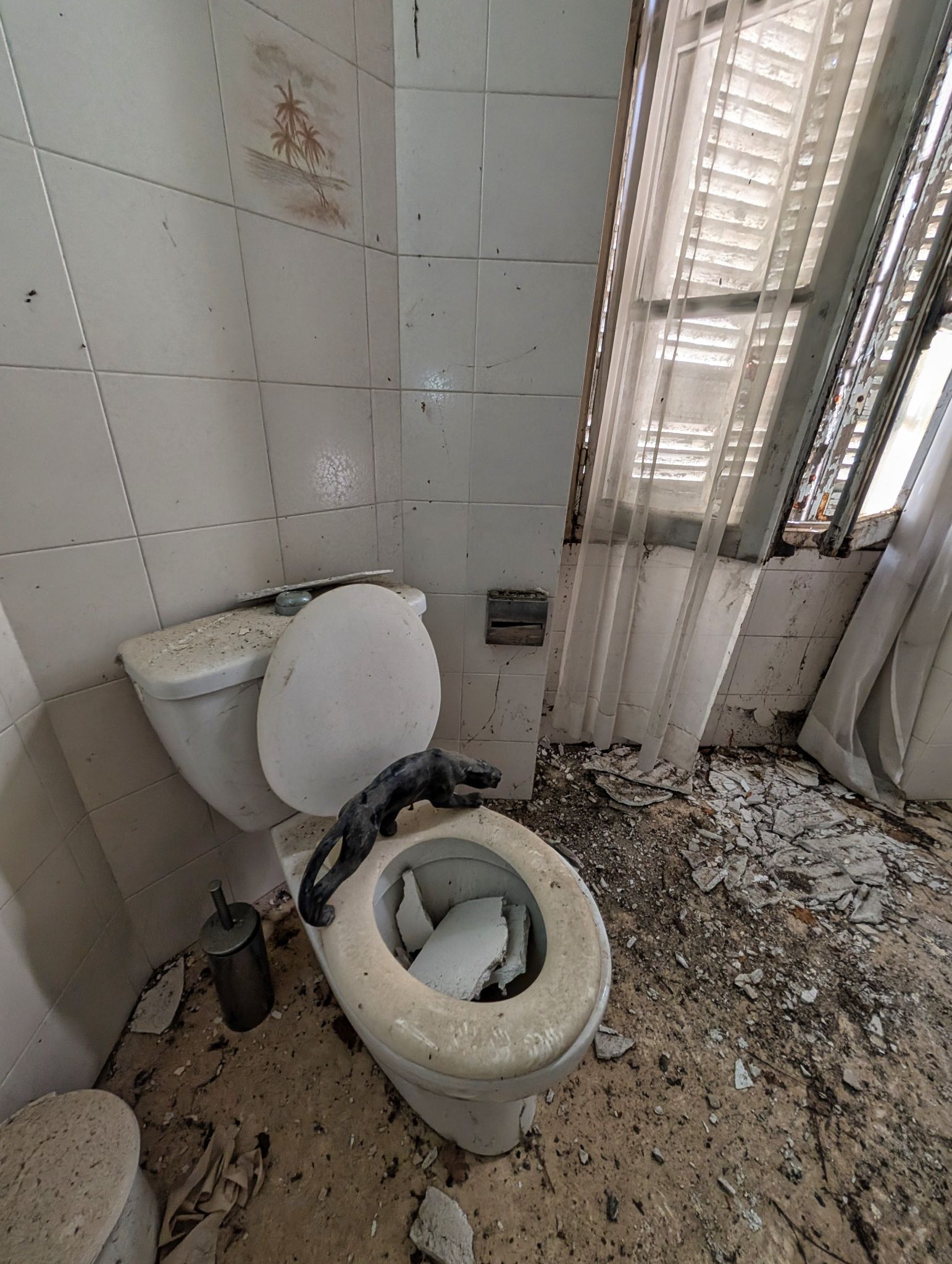 PXL 20250119 135053613.MP