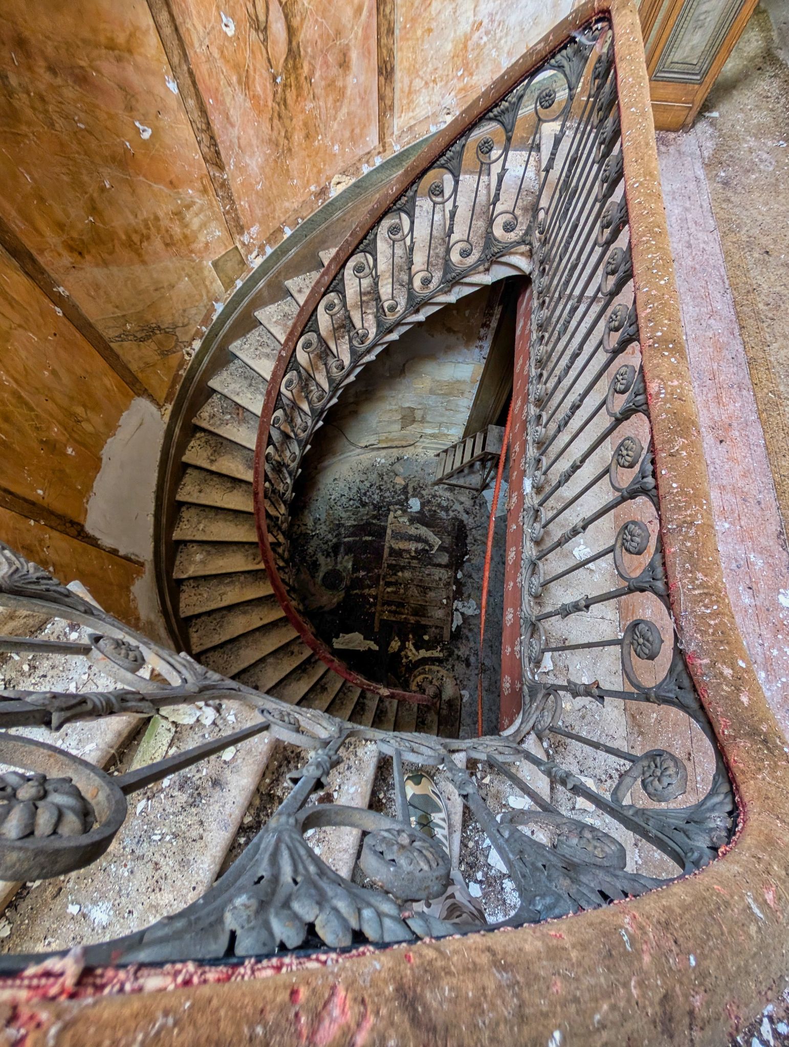 PXL 20250119 135258974