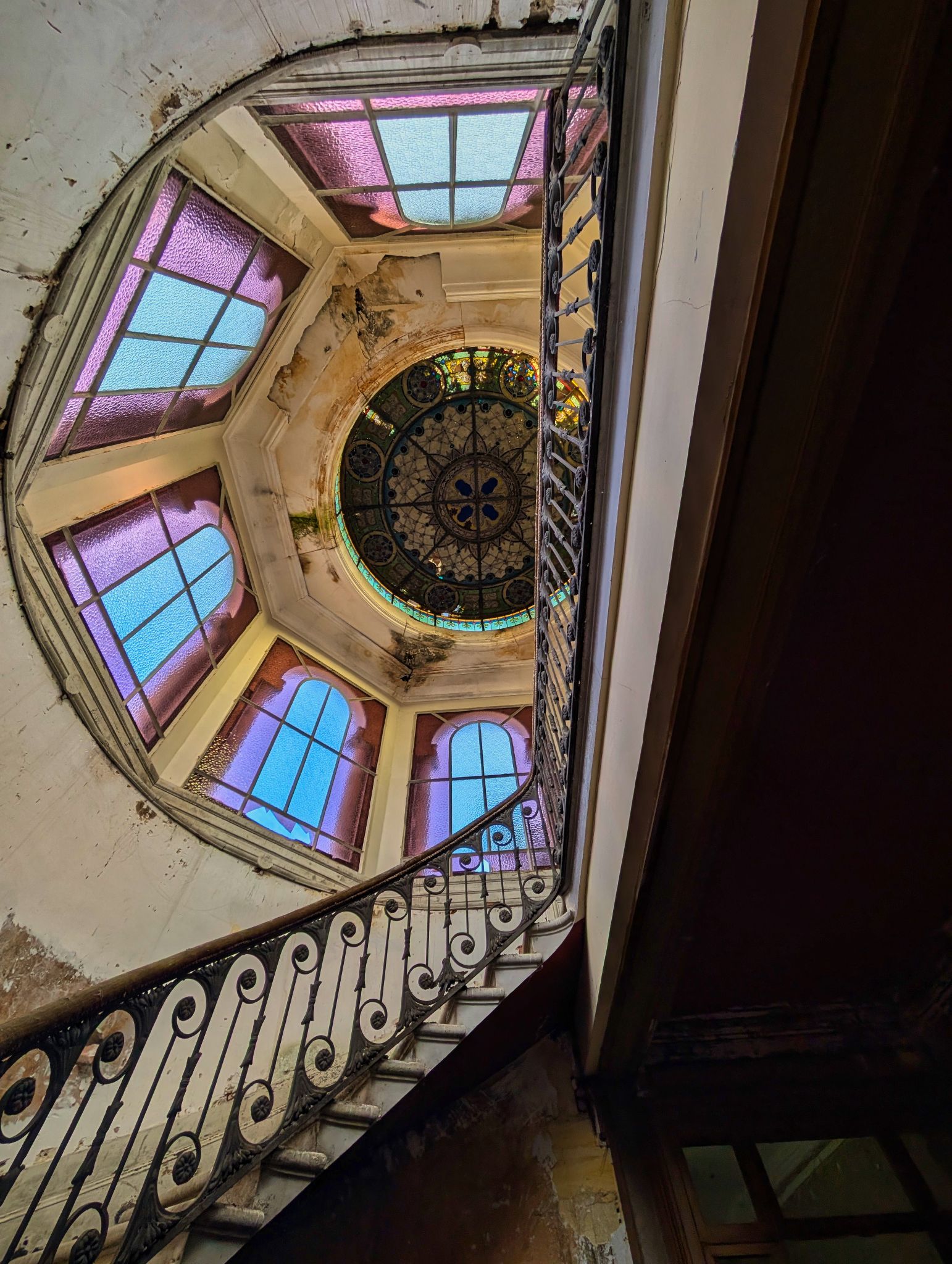 PXL 20250119 135303228