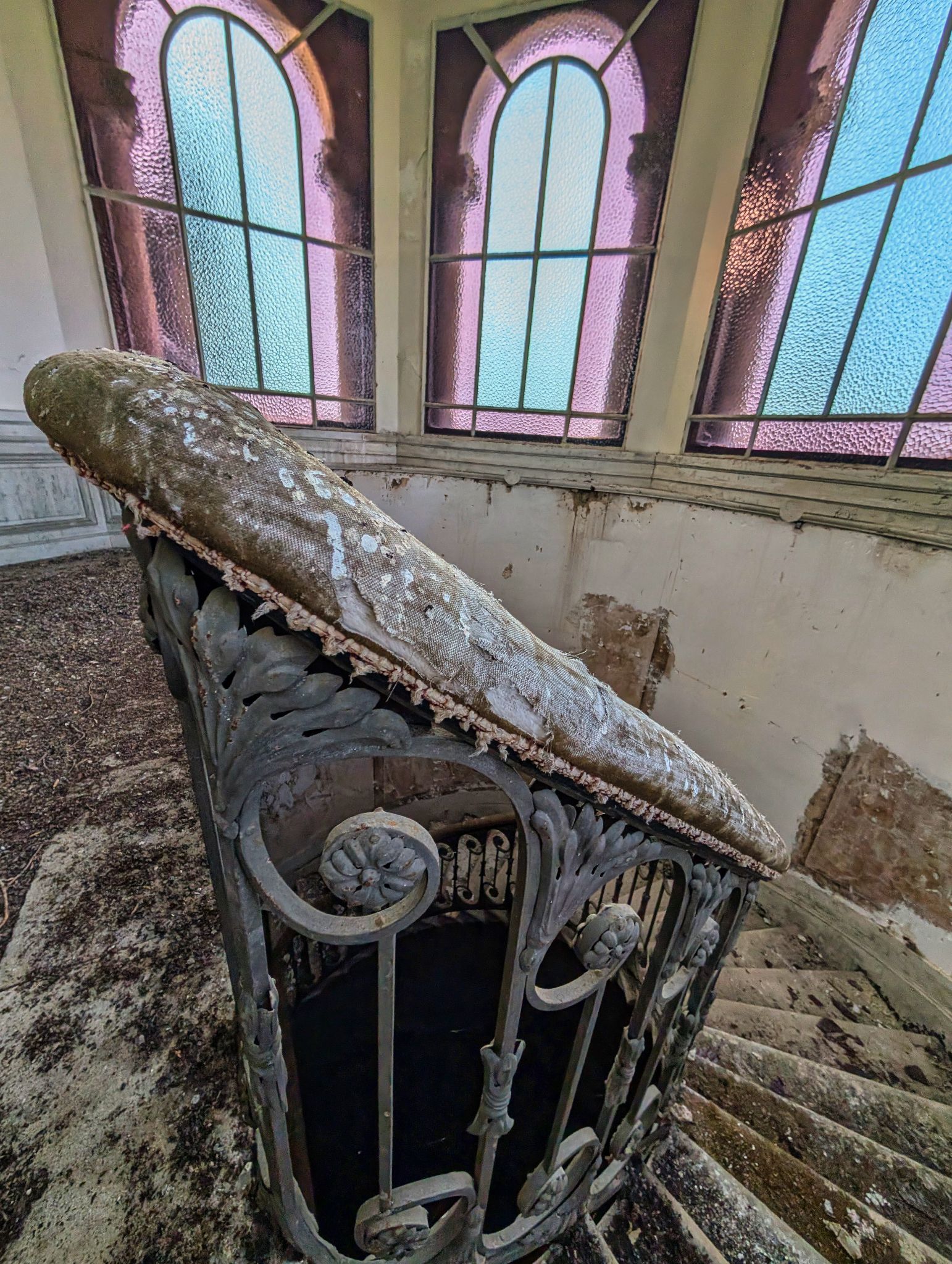 PXL 20250119 135647565