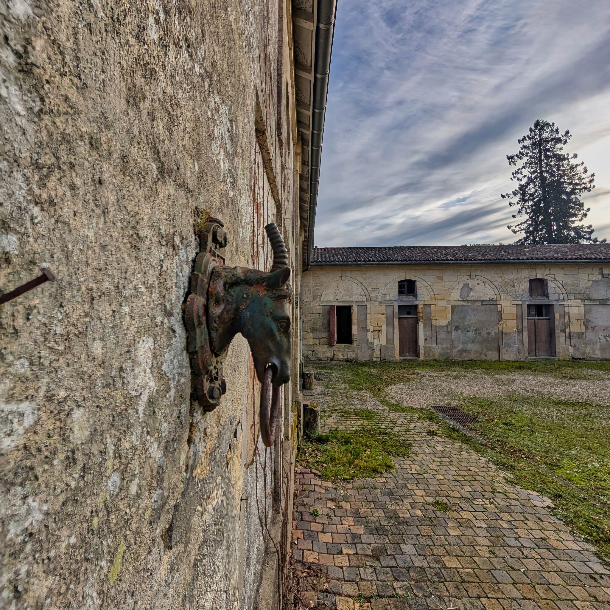 PXL 20250119 141537556.MP