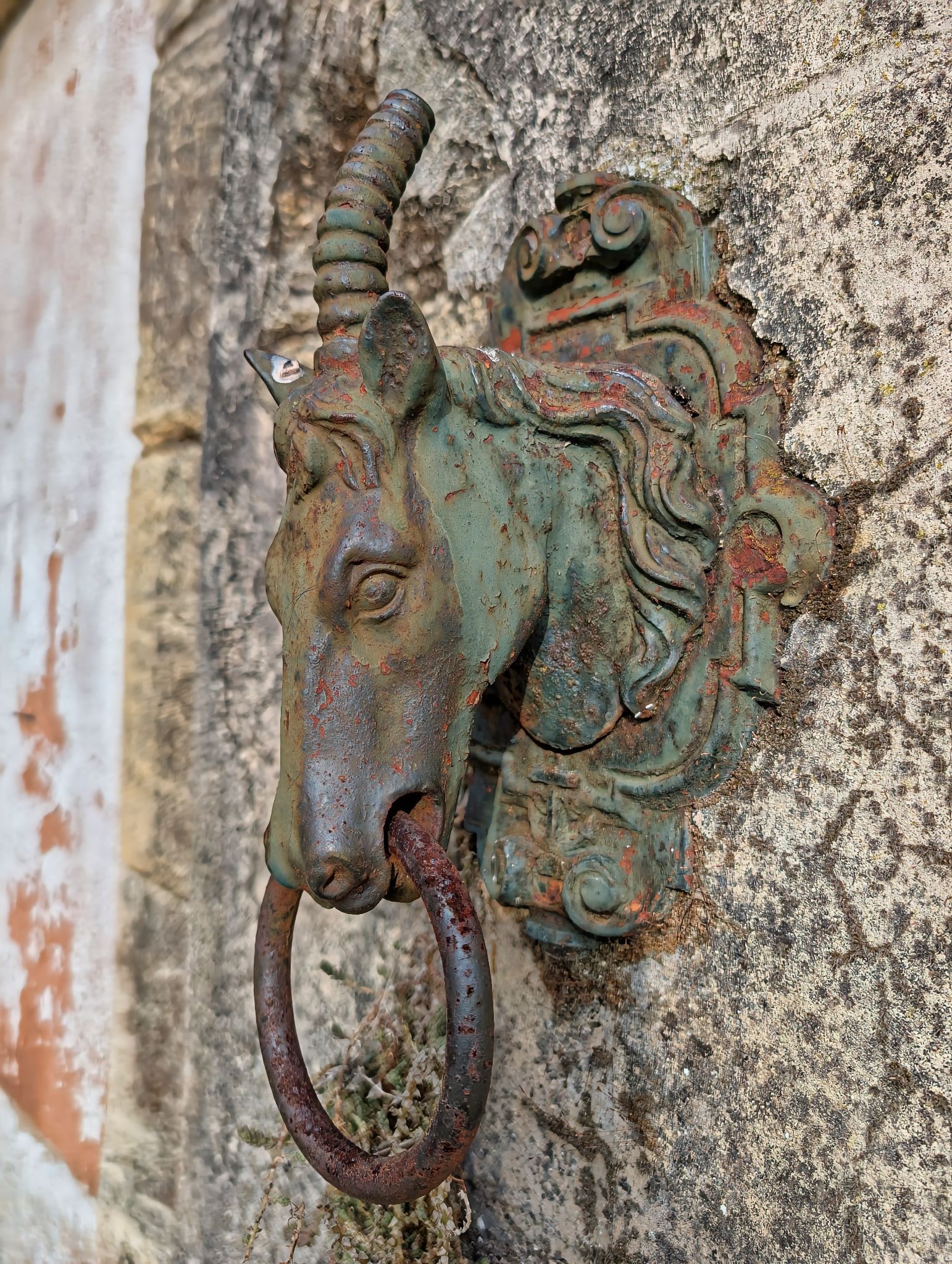 PXL 20250119 141820608