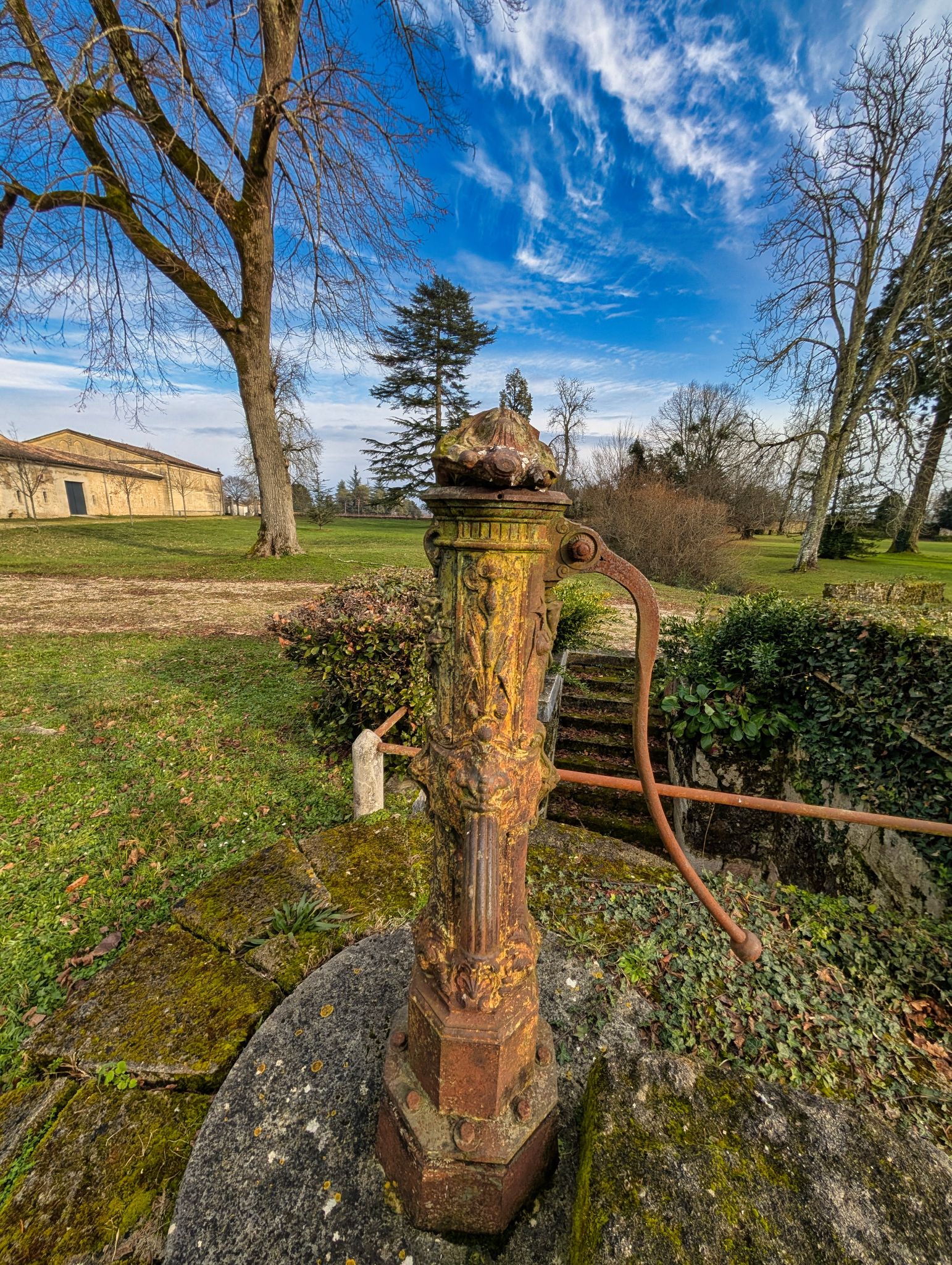 PXL 20250119 142527466.MP