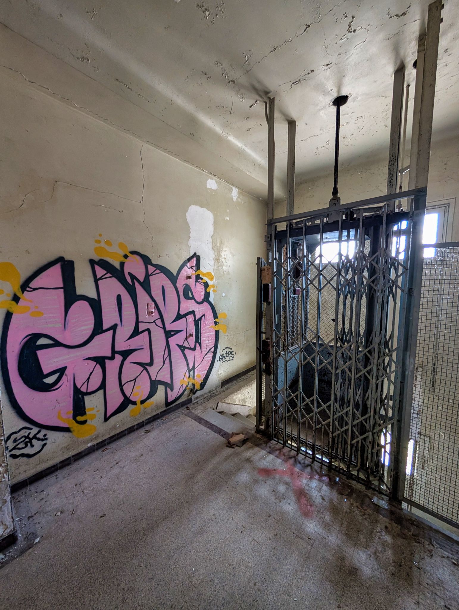 PXL 20250406 134152764