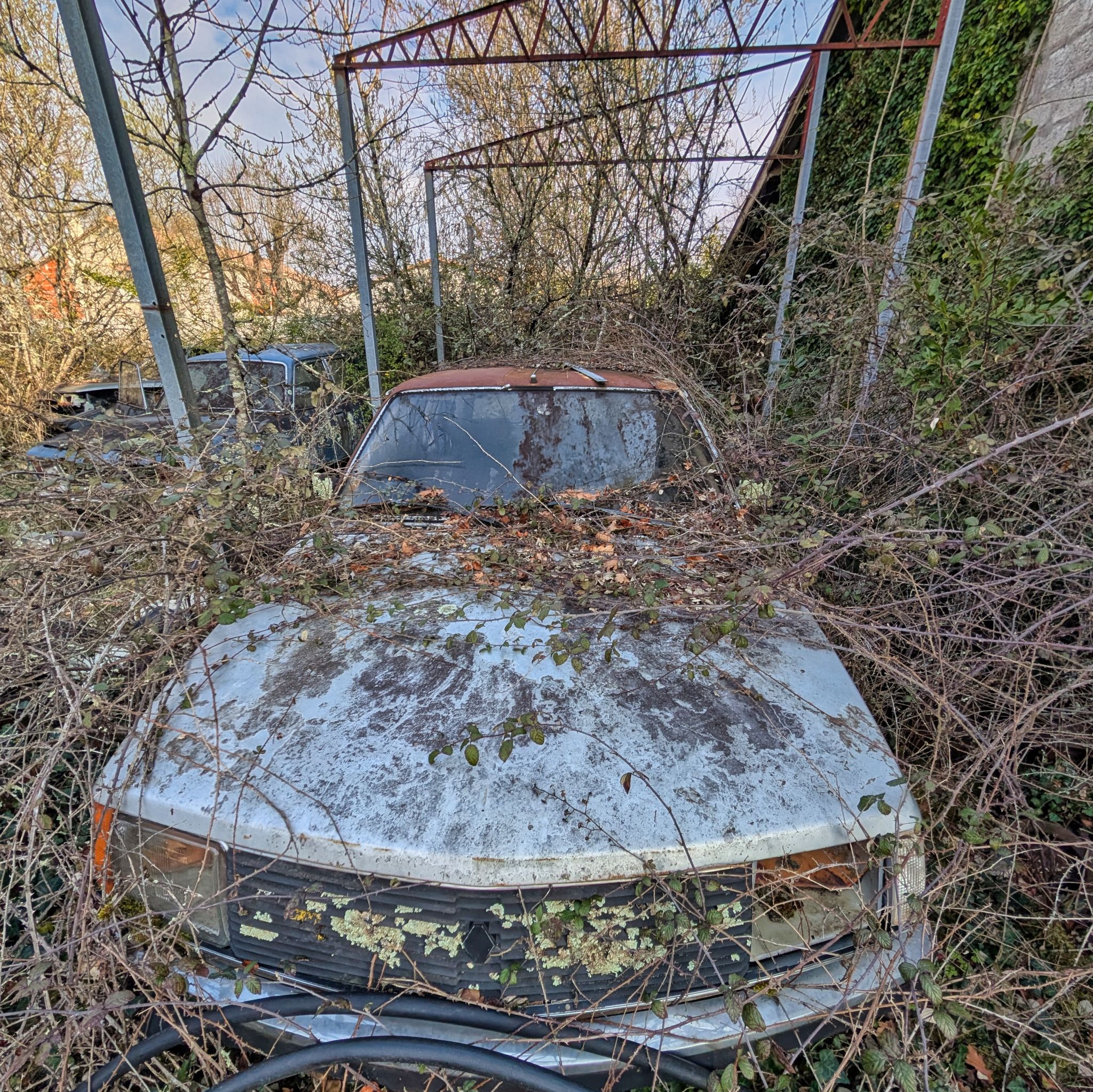 PXL 20250316 091148015