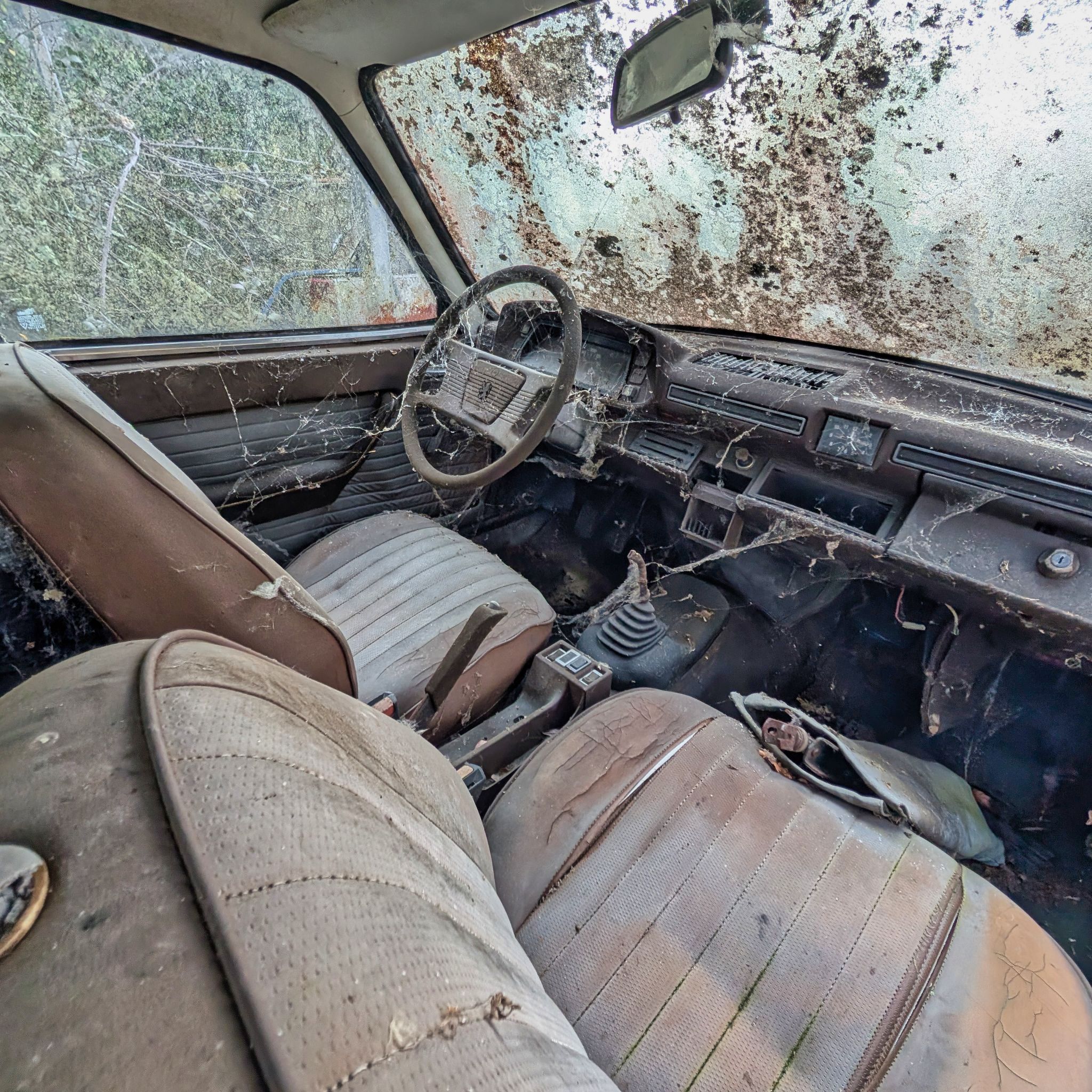 PXL 20250316 091326811