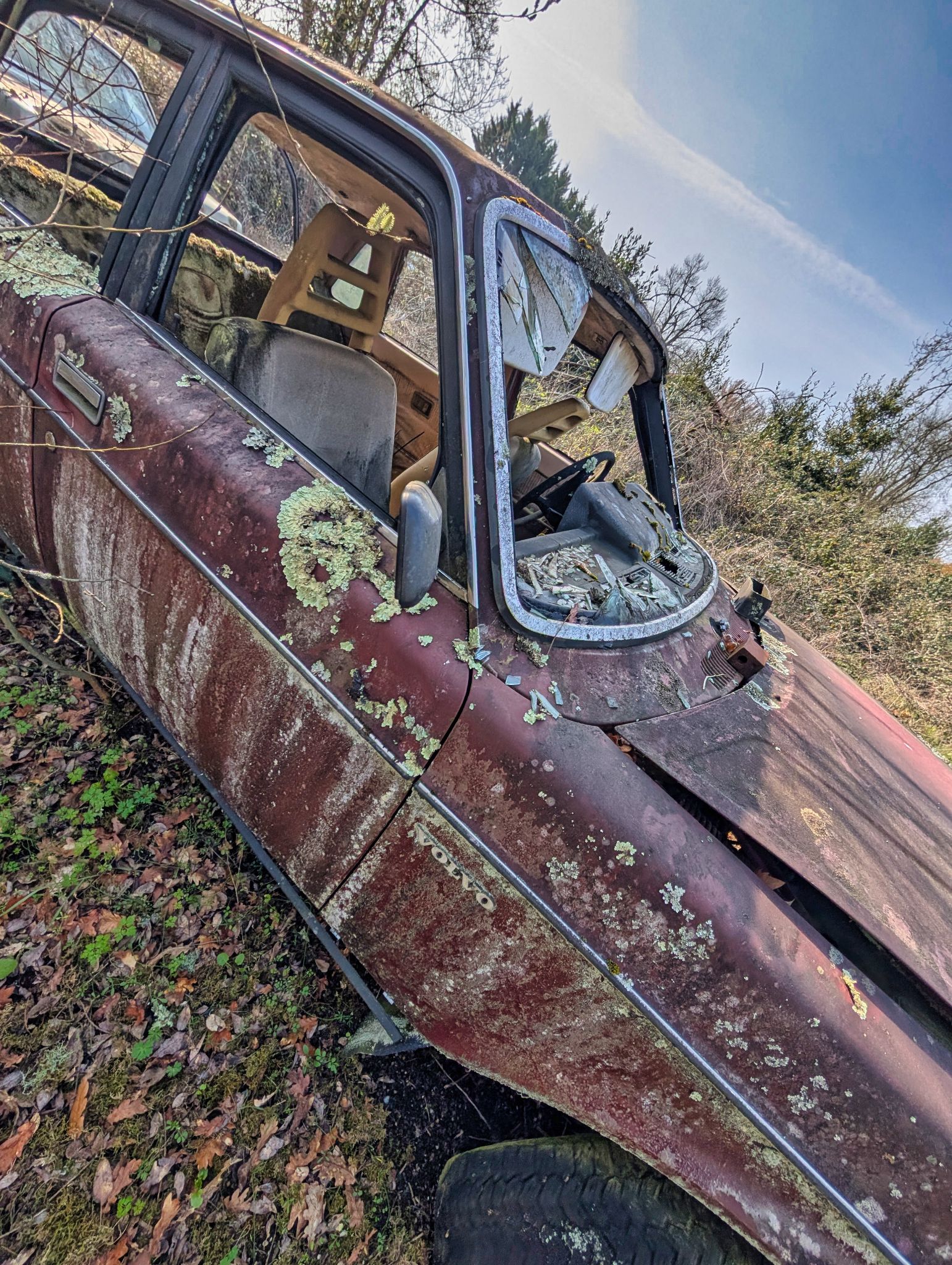 PXL 20250316 091357410