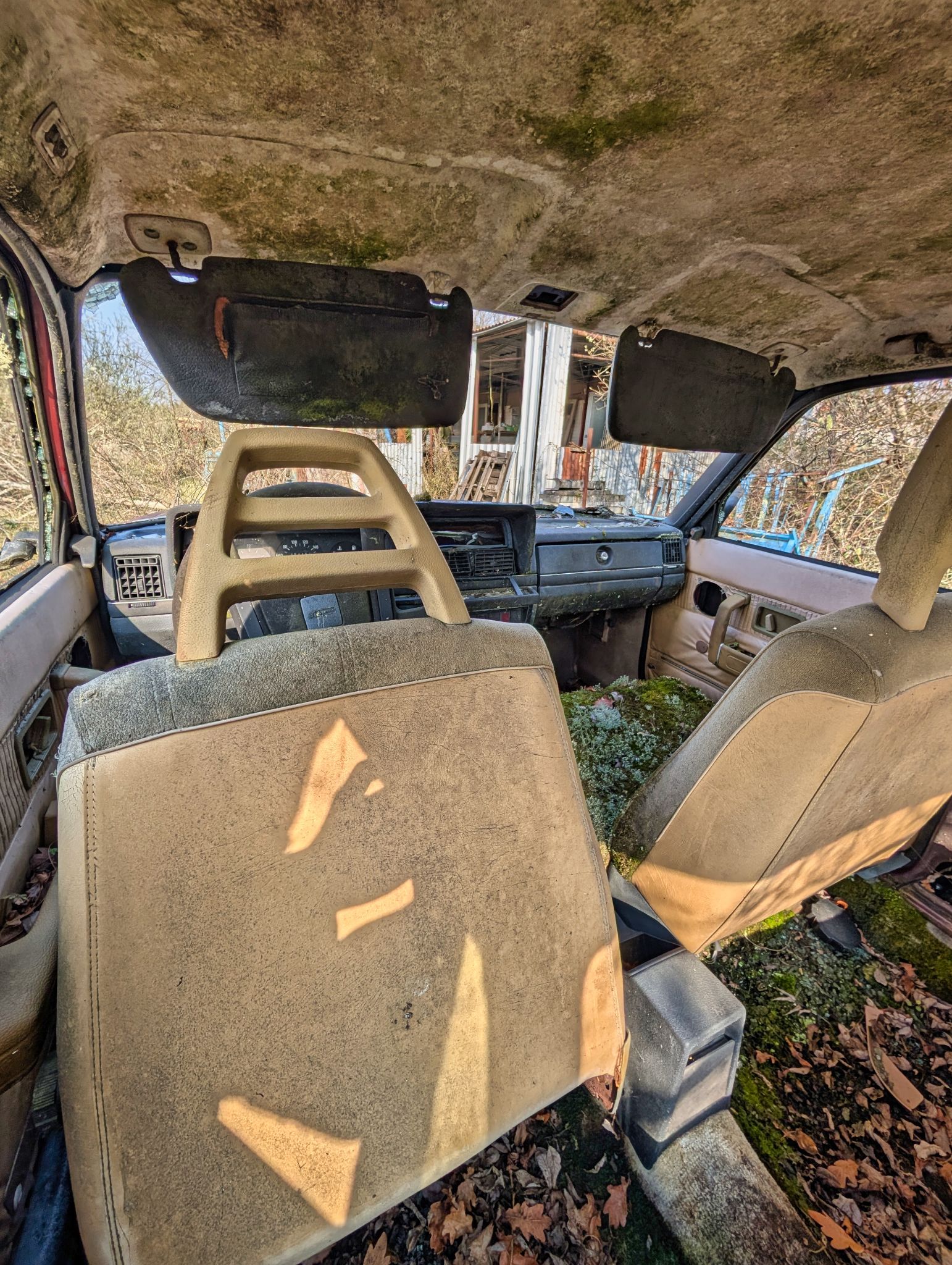 PXL 20250316 091412976