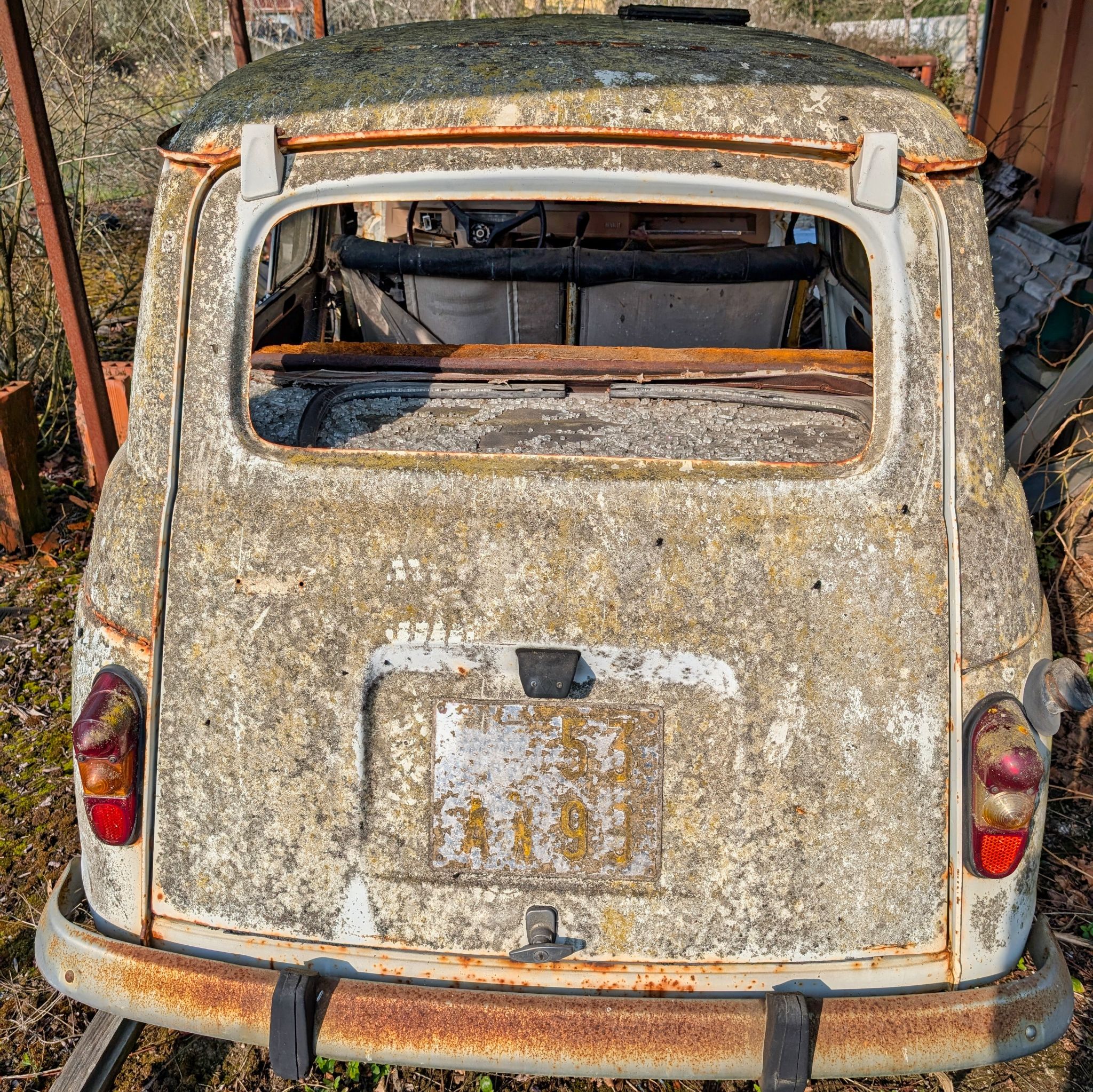 PXL 20250316 091545531