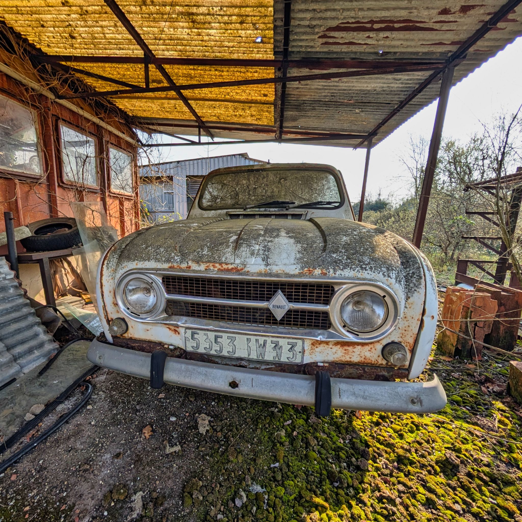 PXL 20250316 091659679