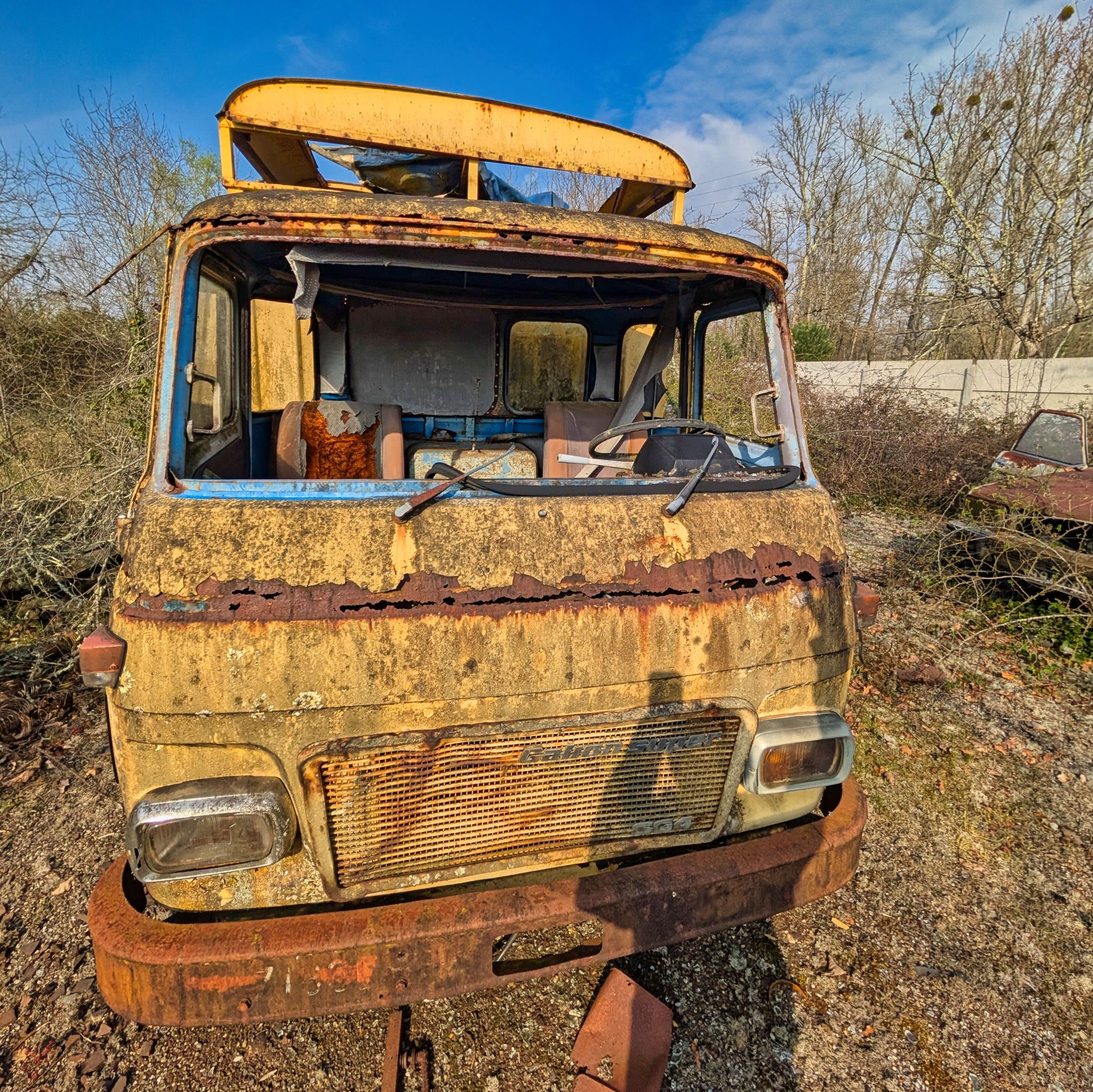 PXL 20250316 092120829