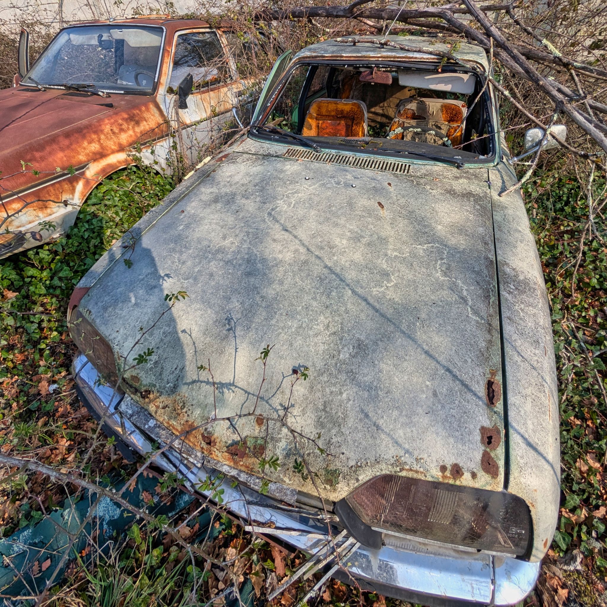 PXL 20250316 092148003