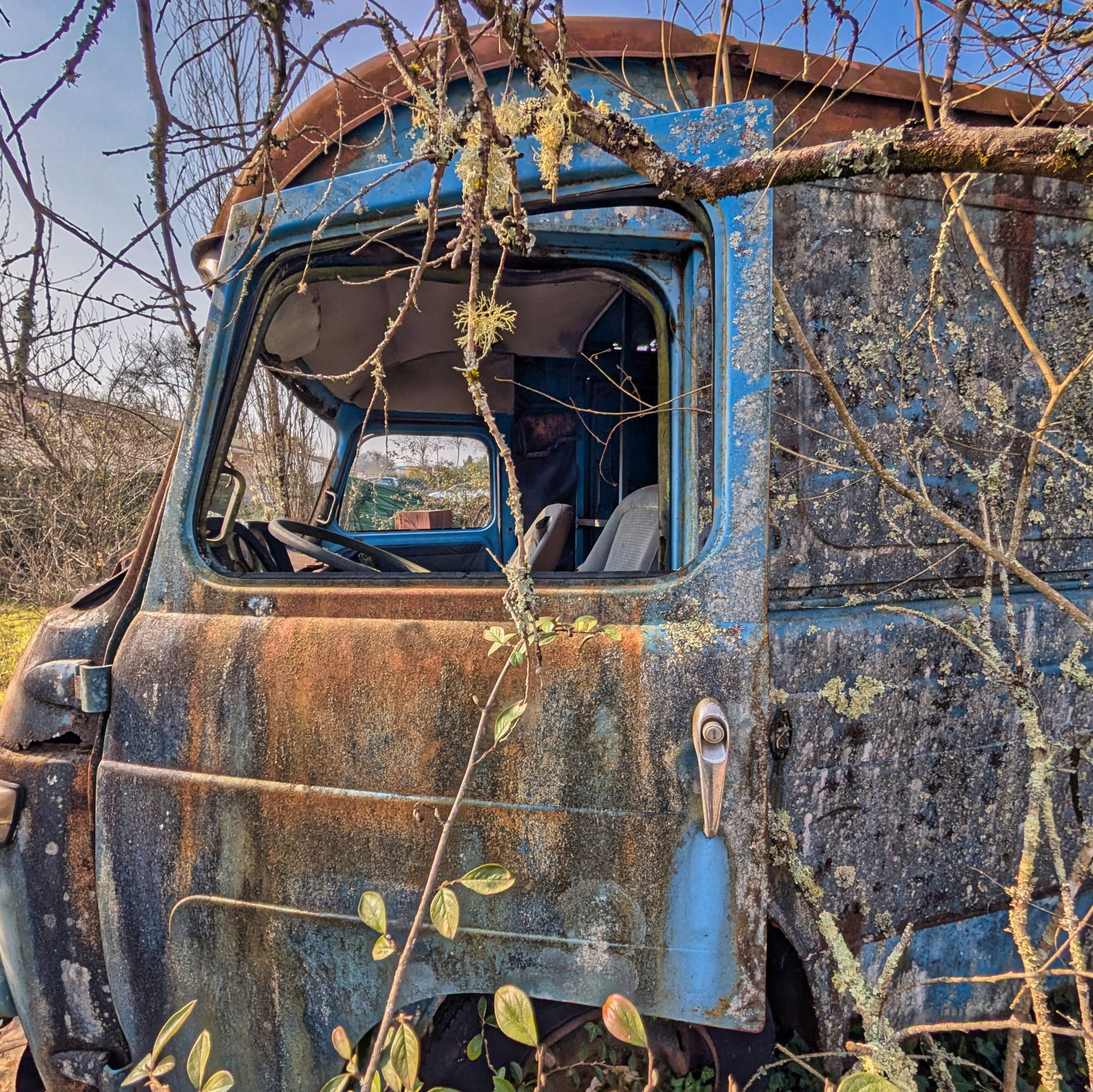 PXL 20250316 092350701