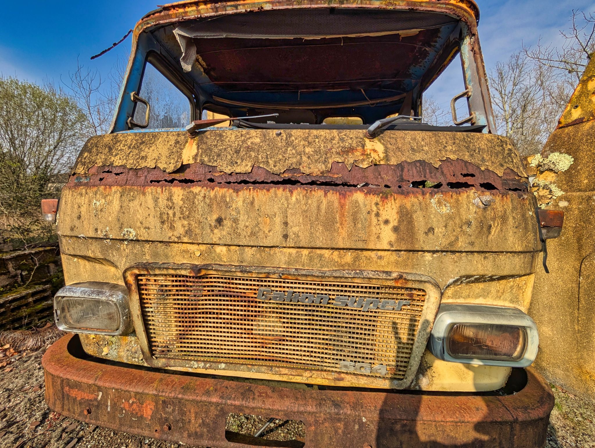 PXL 20250316 092443942