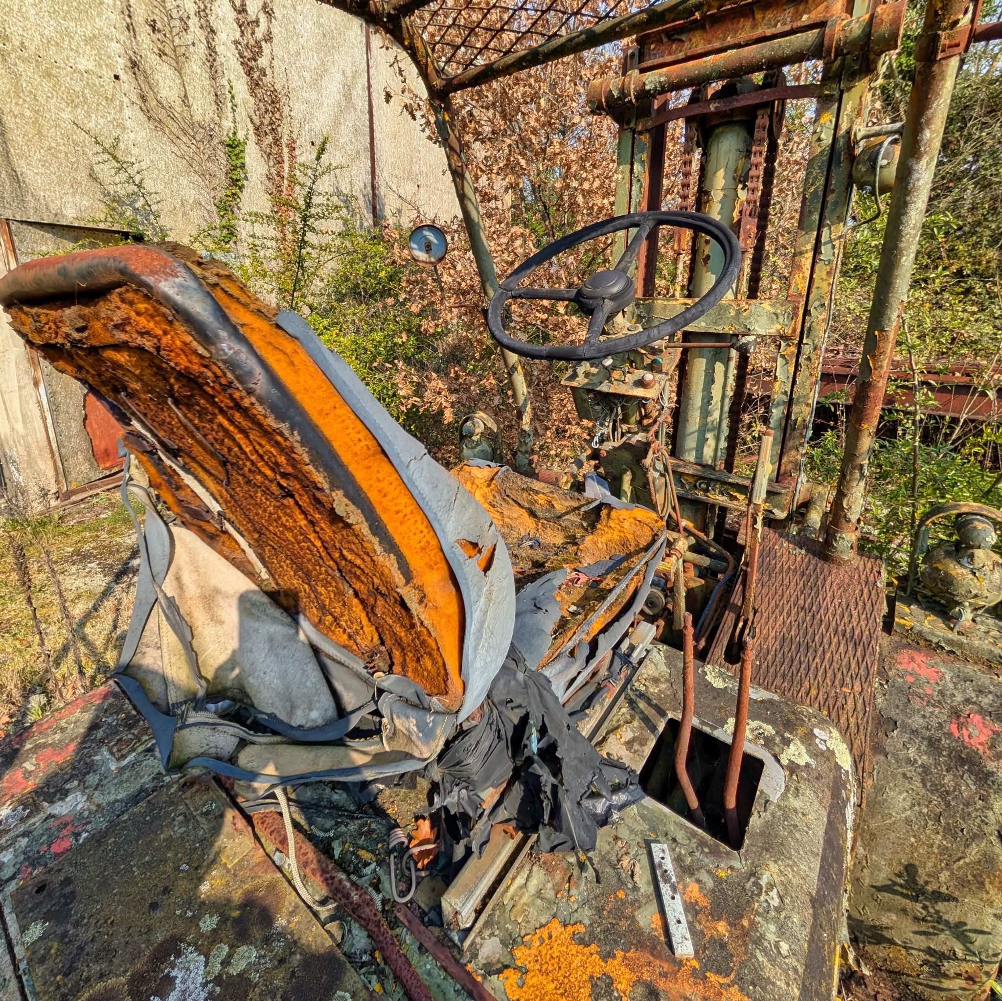 PXL 20250316 093133359