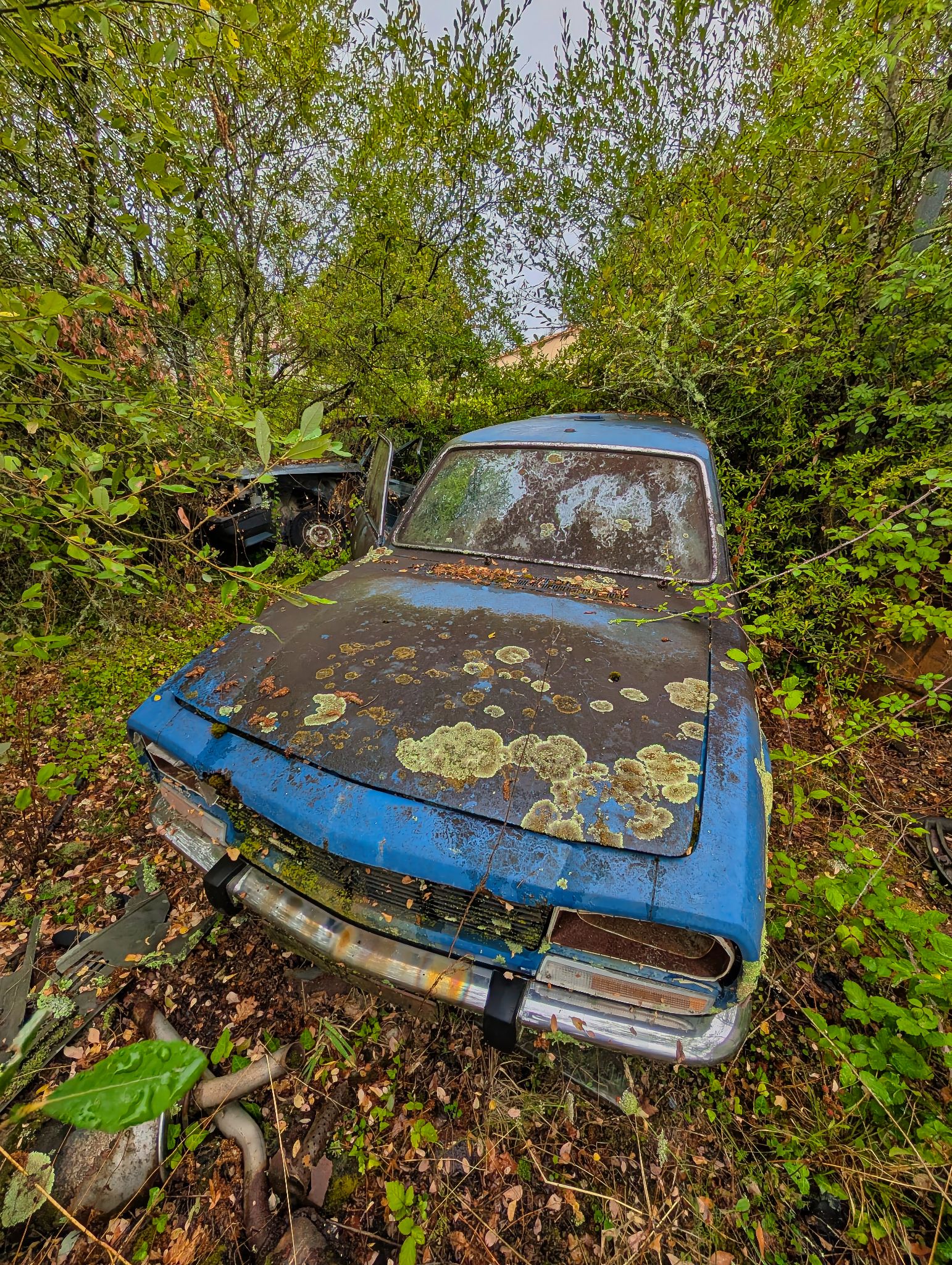 PXL 20250727 093151388