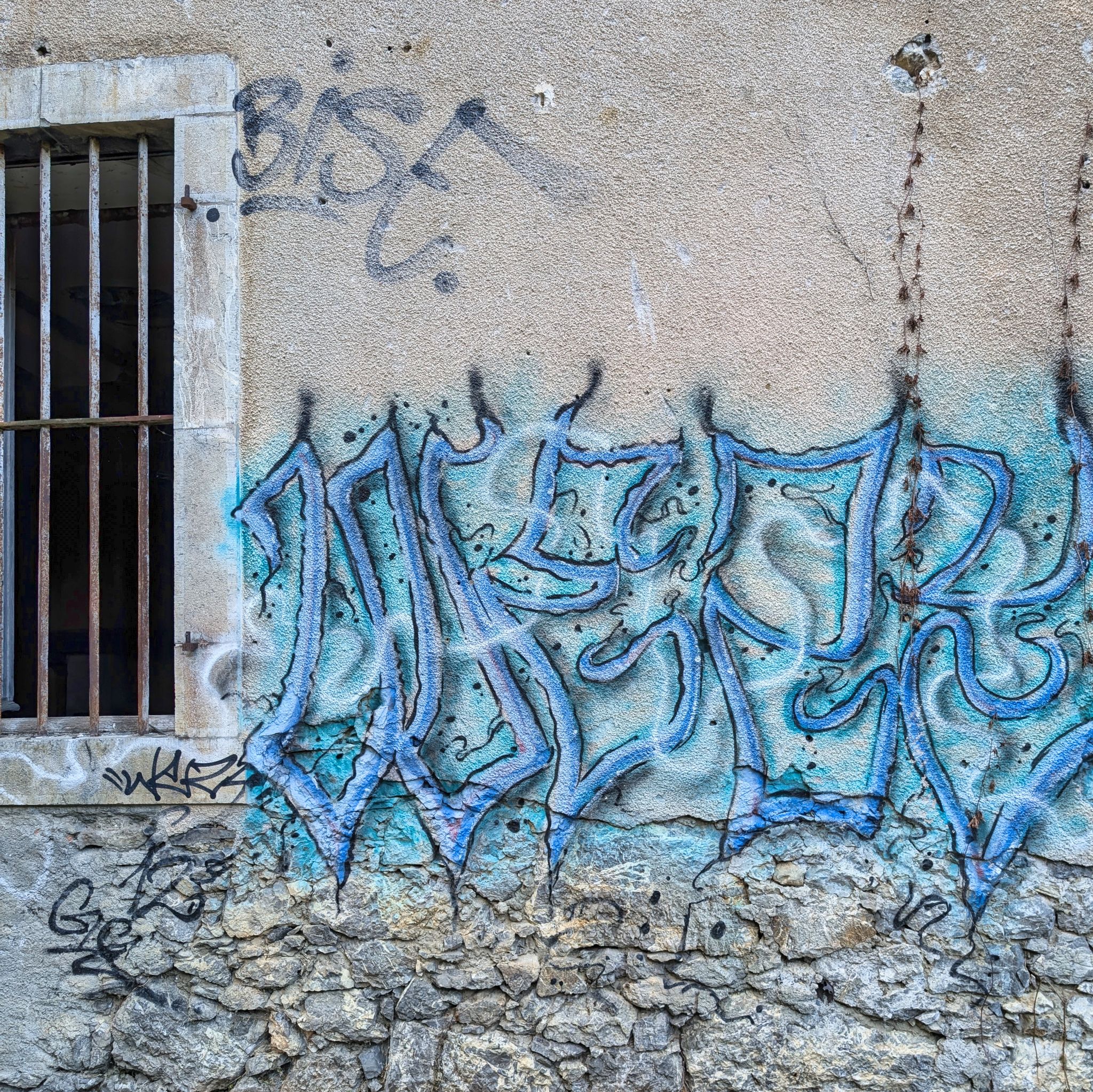 PXL 20251012 135853181