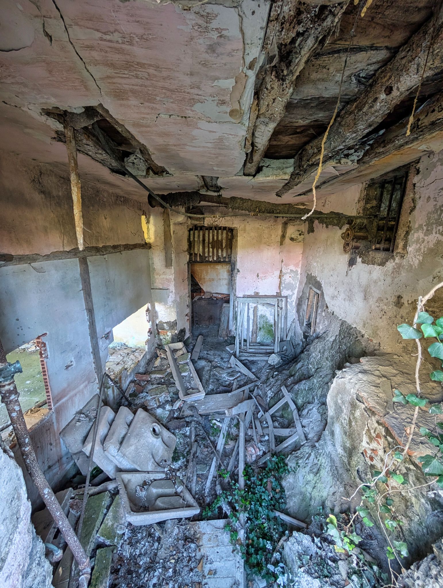 PXL 20251012 140346806