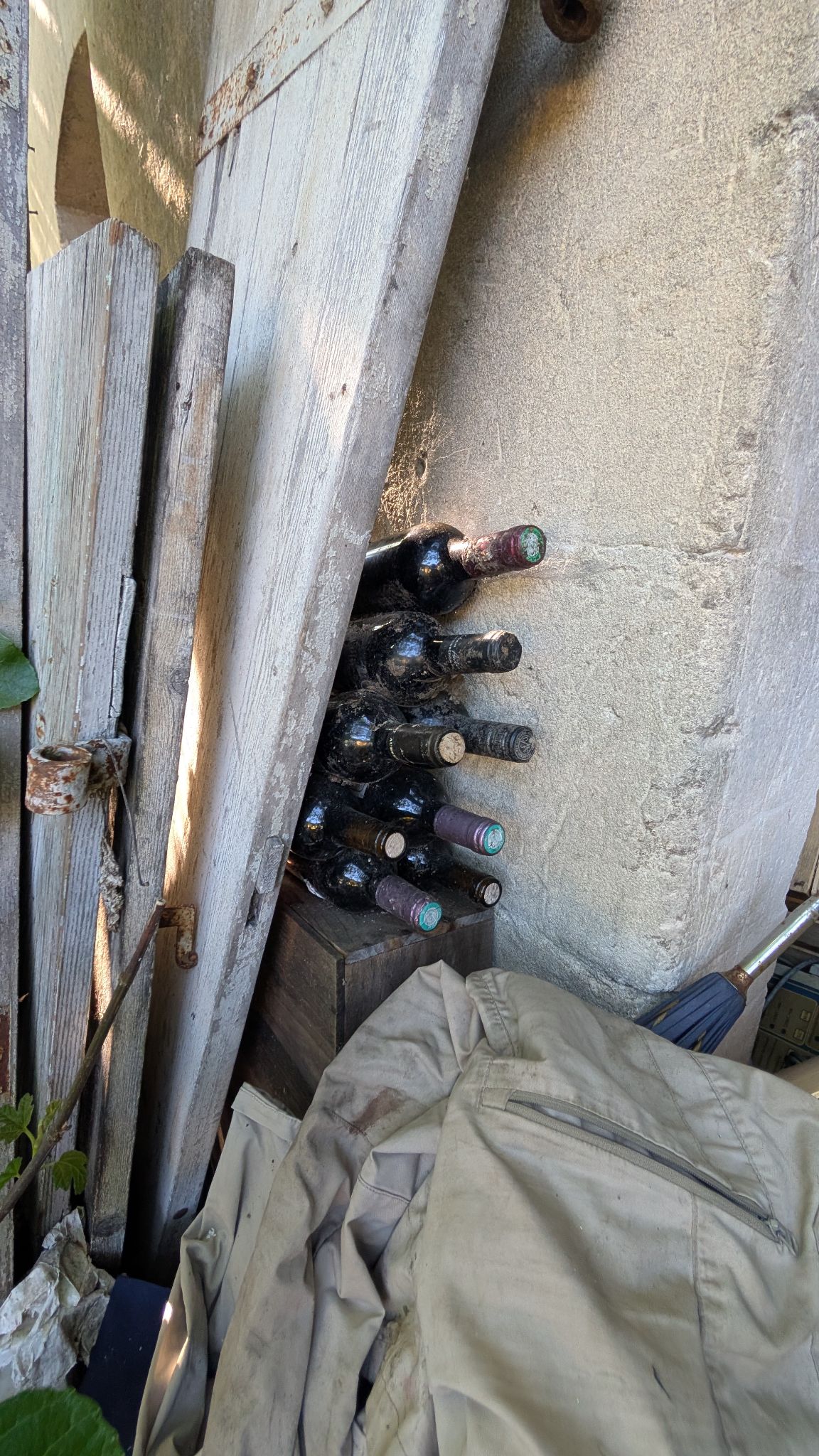 PXL 20260419 150329542