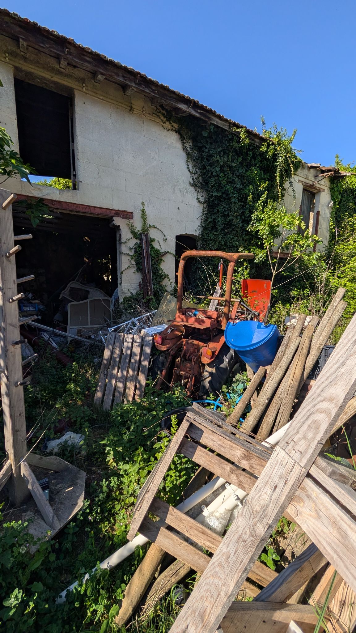 PXL 20260419 150353591