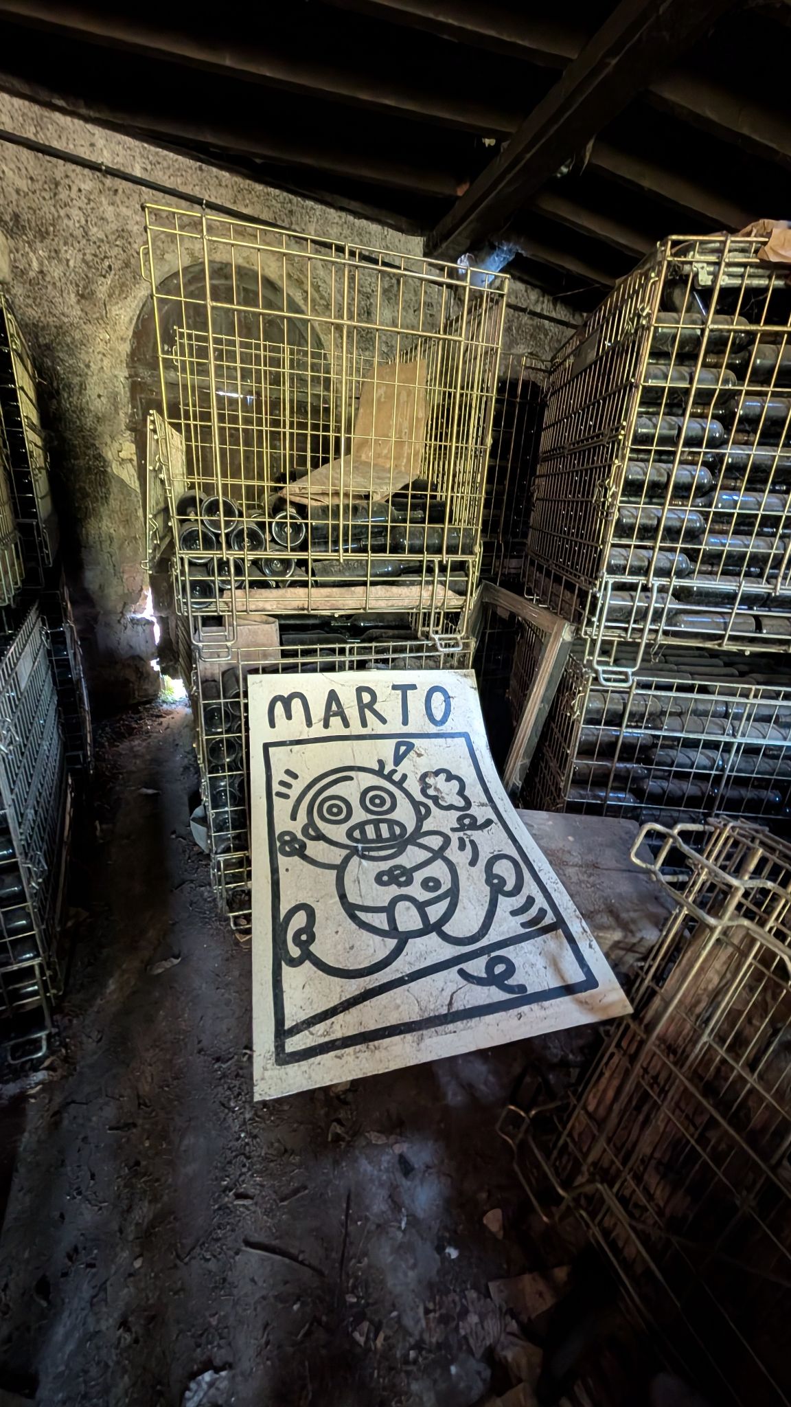 PXL 20260419 150445049