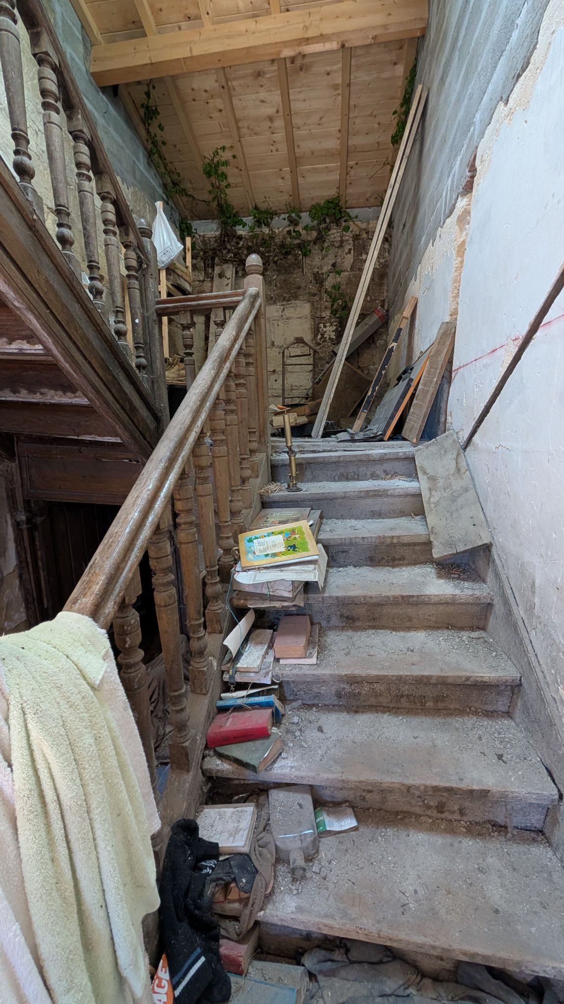 PXL 20260419 150626066